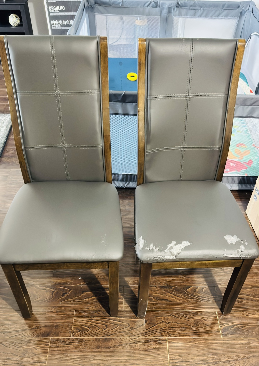 Free dinning chairs