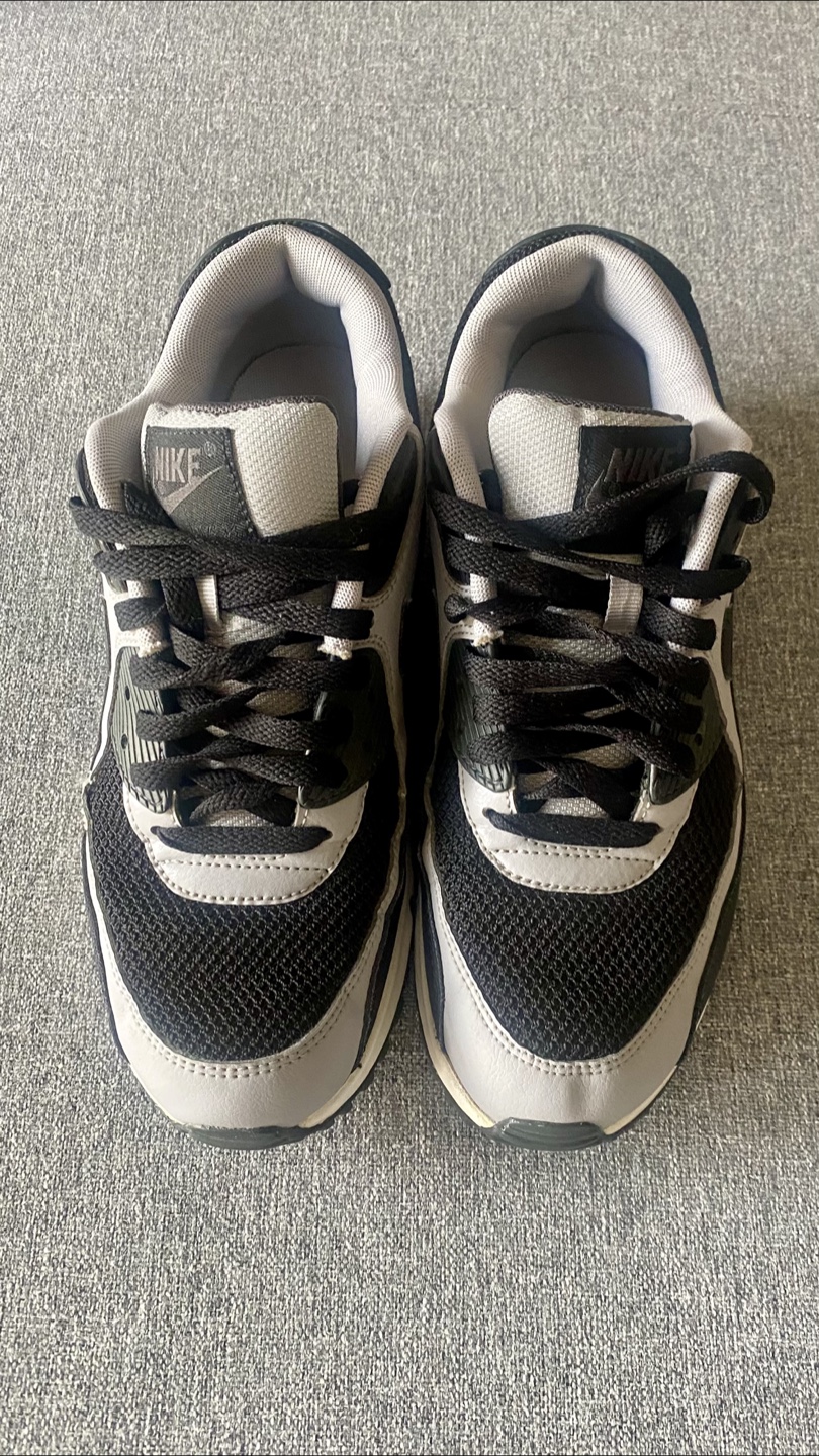 Nike Air Max 90 Wolf Grey