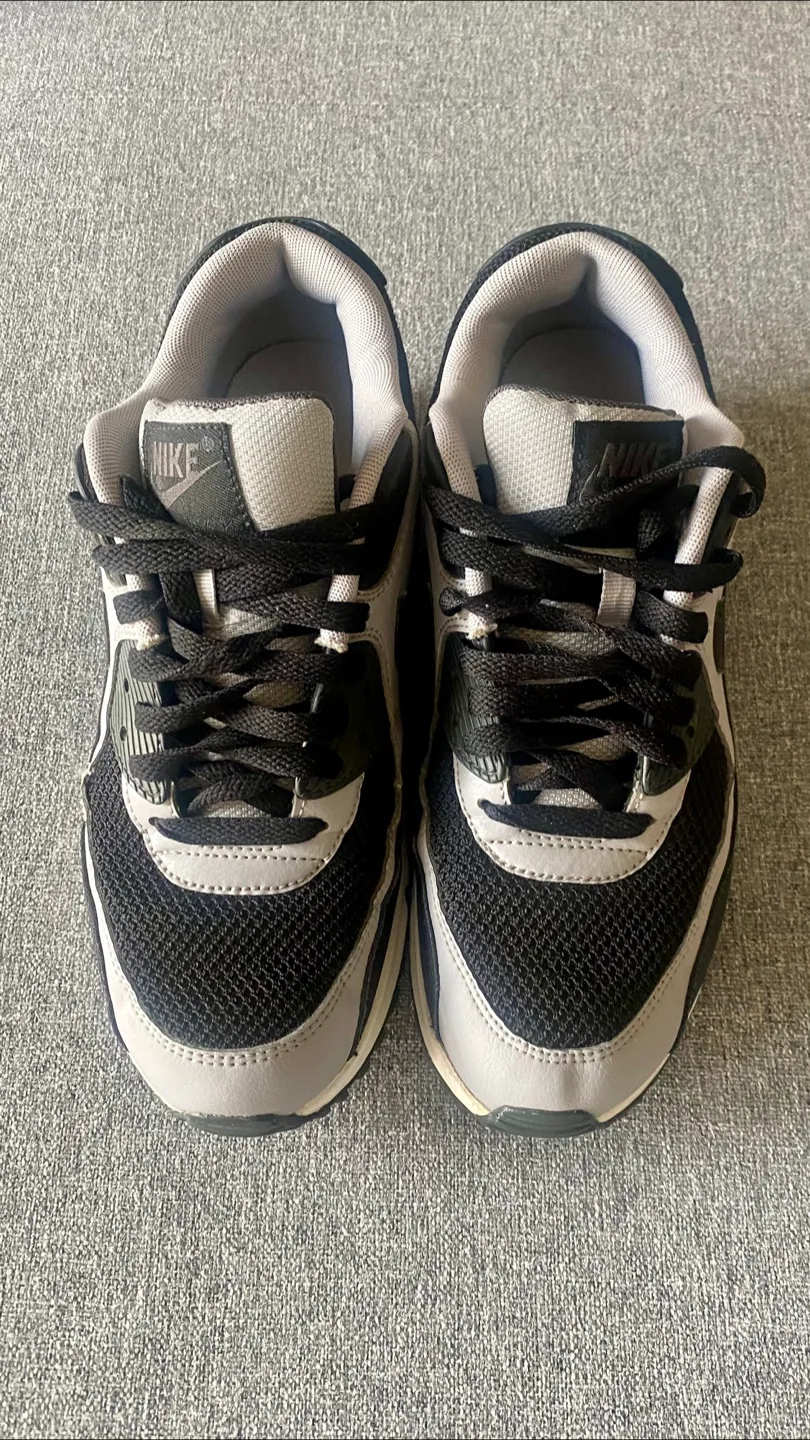 Nike Air Max 90 Wolf Grey