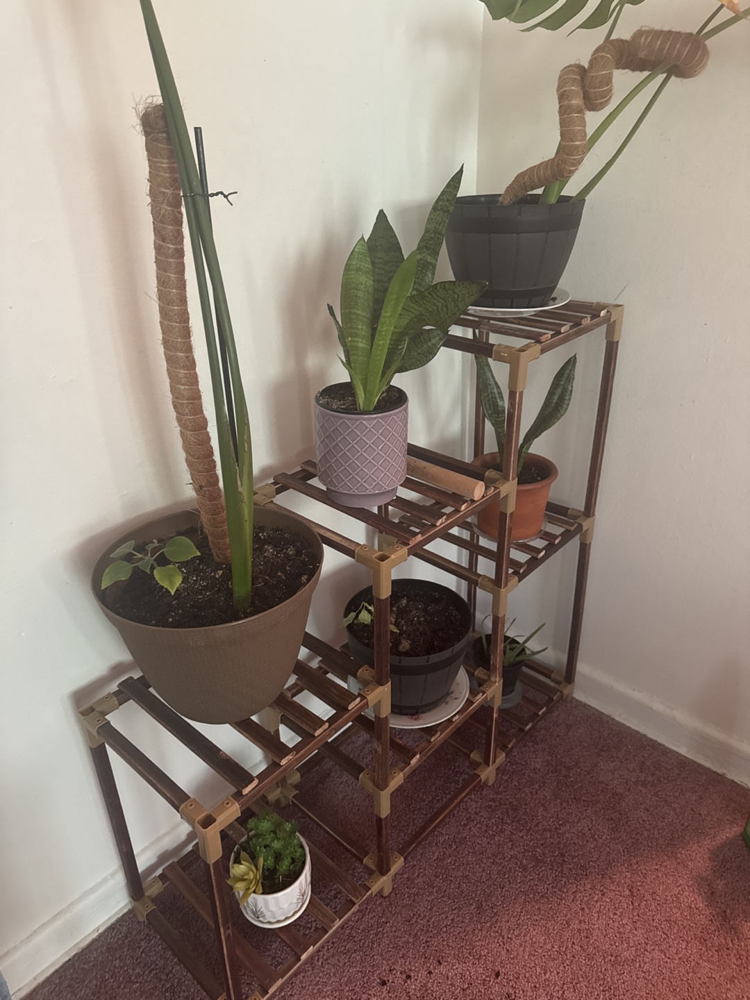 3-tier Indoor/outdoor plant stand - photo 3