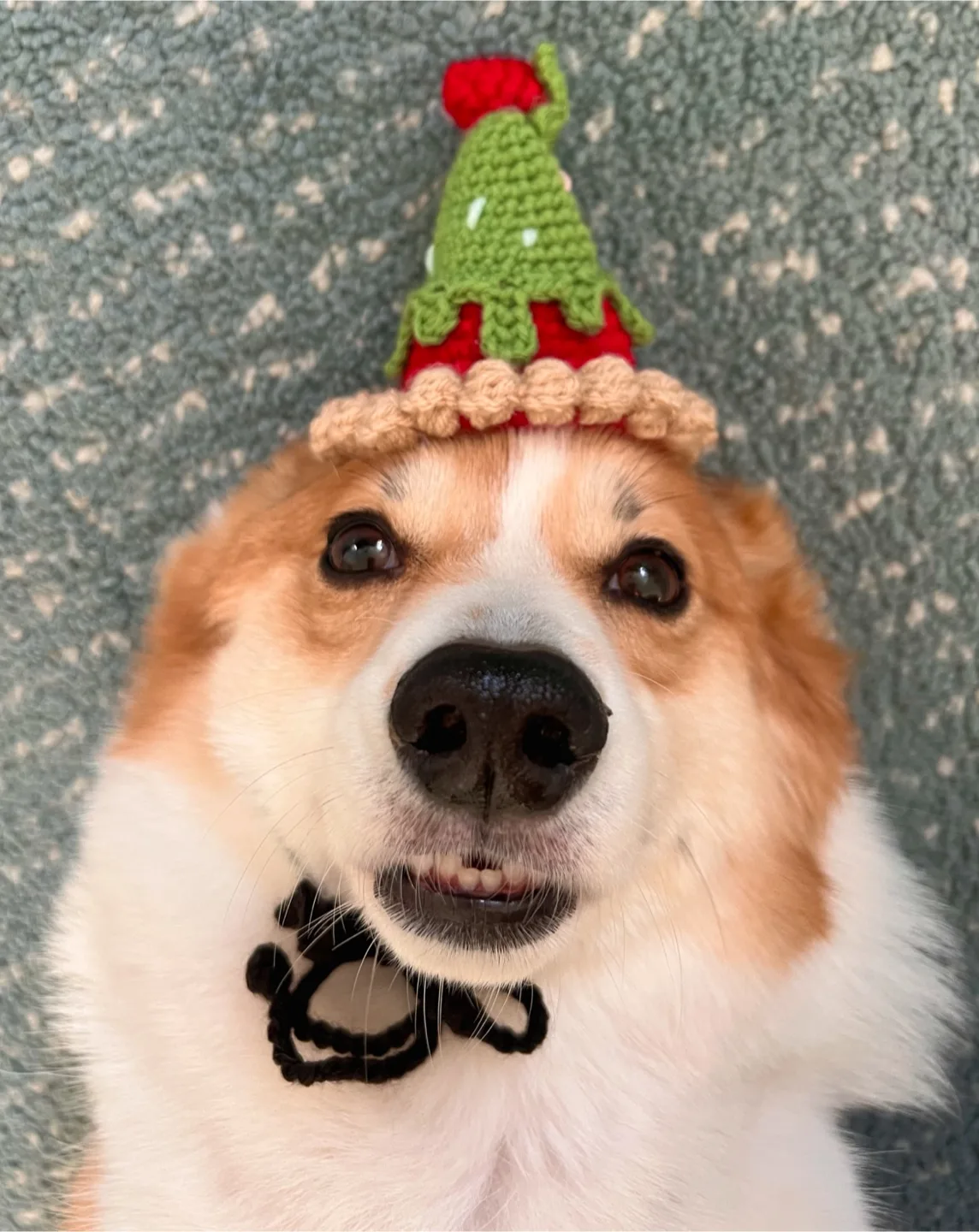 Handmade Crocheted Party Hats image indicator(3)