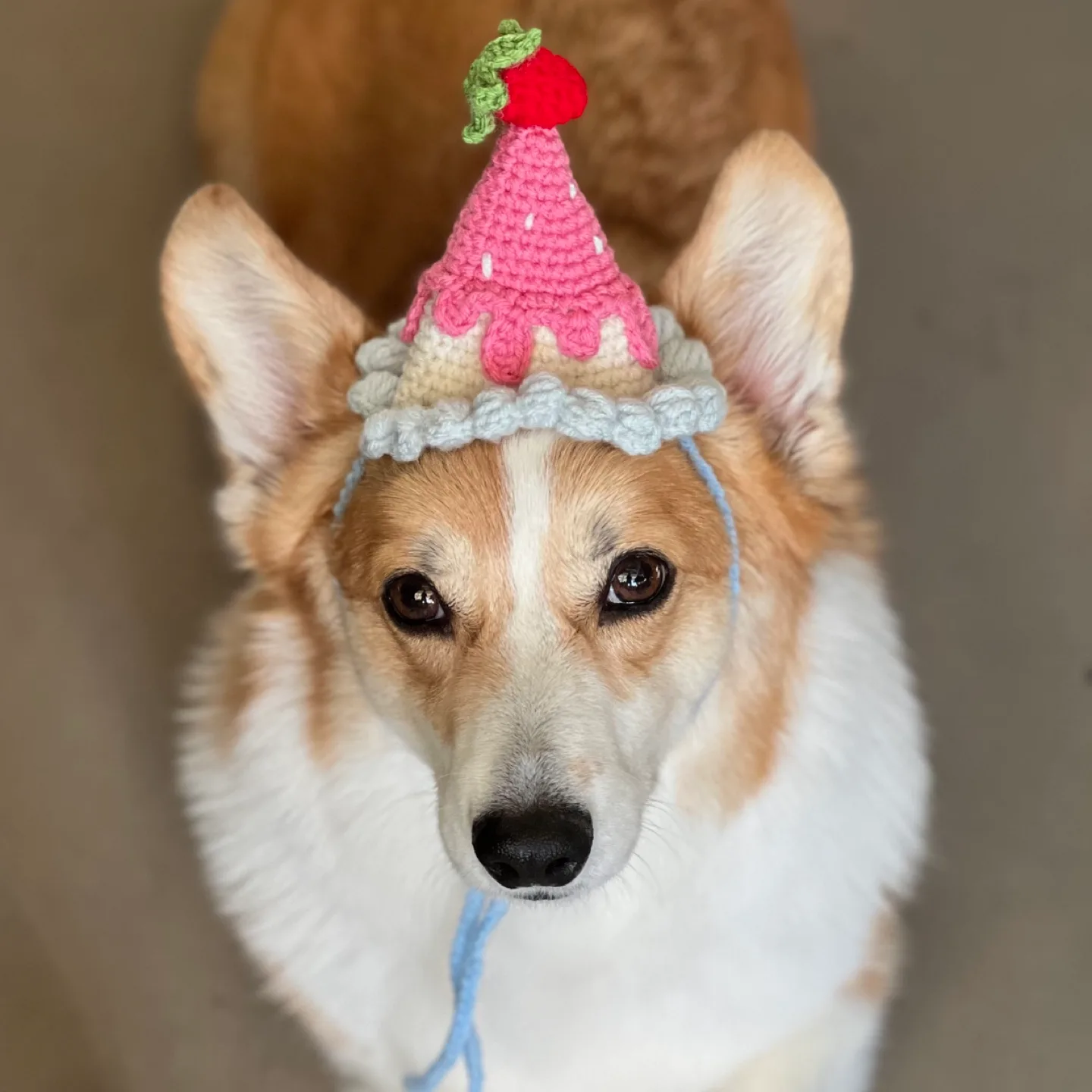Handmade Crocheted Party Hats image indicator(2)