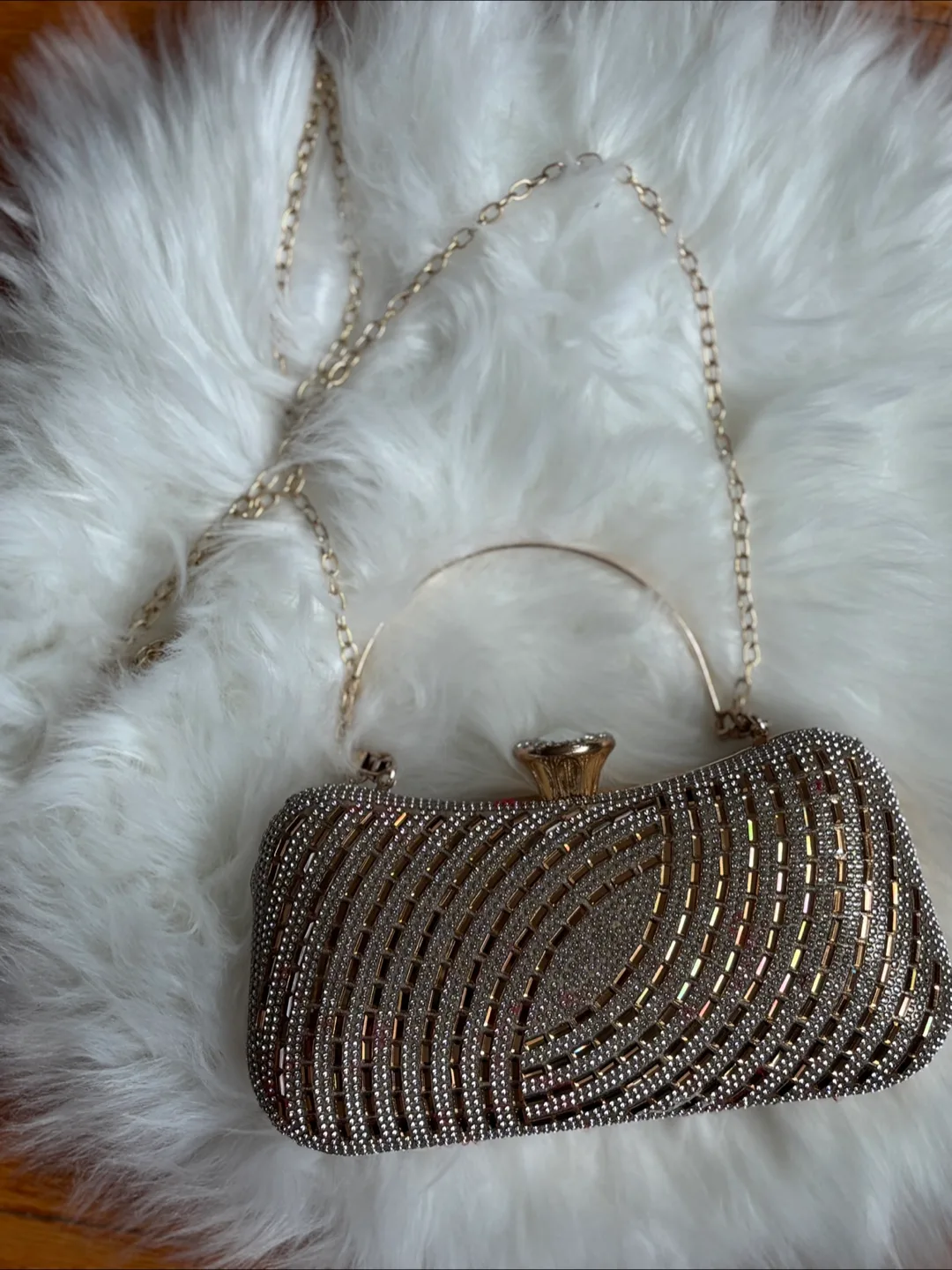 Sparkling Clutch Purse thumbnail