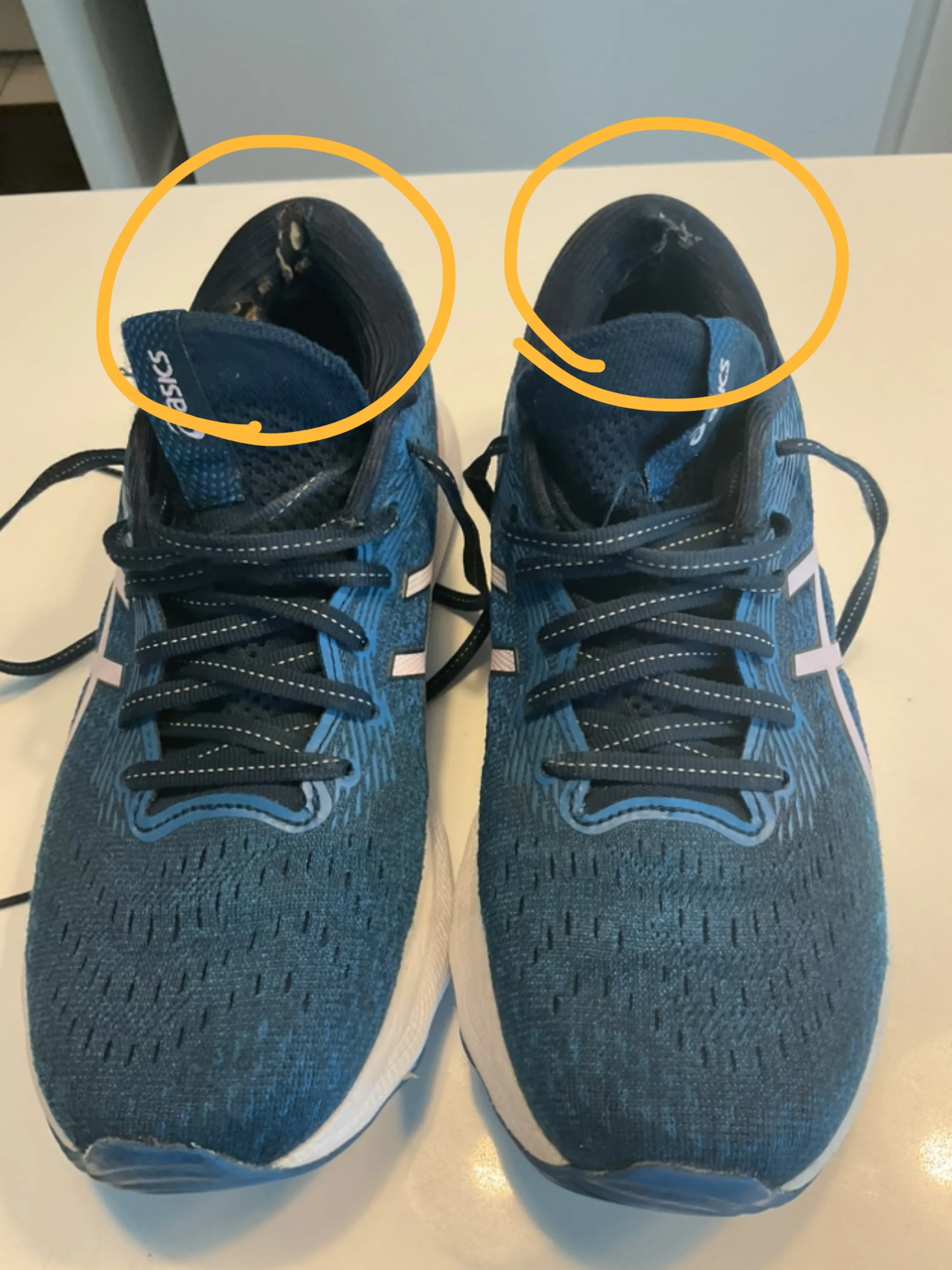 ASICS Running Shoes - Gel Nimbus image indicator(5)