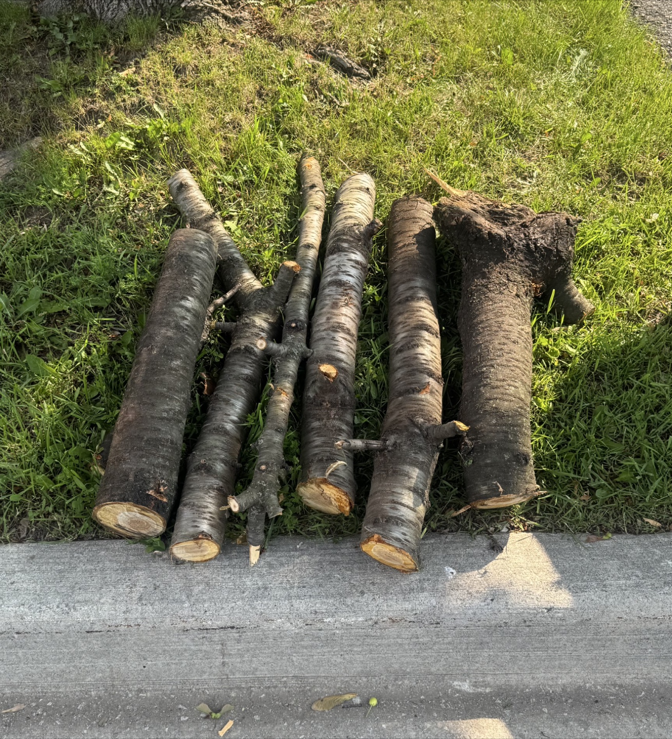 Cherry Firewood Logs