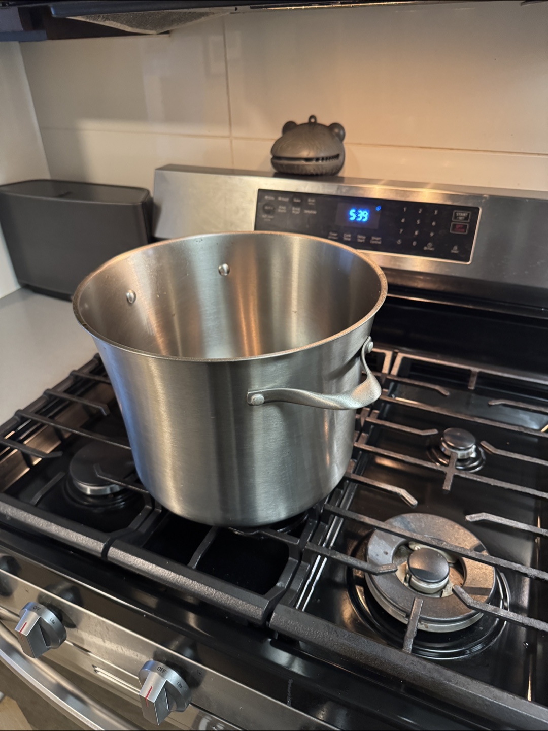 Cephalon Stainless Steel Cooking Pot with lid