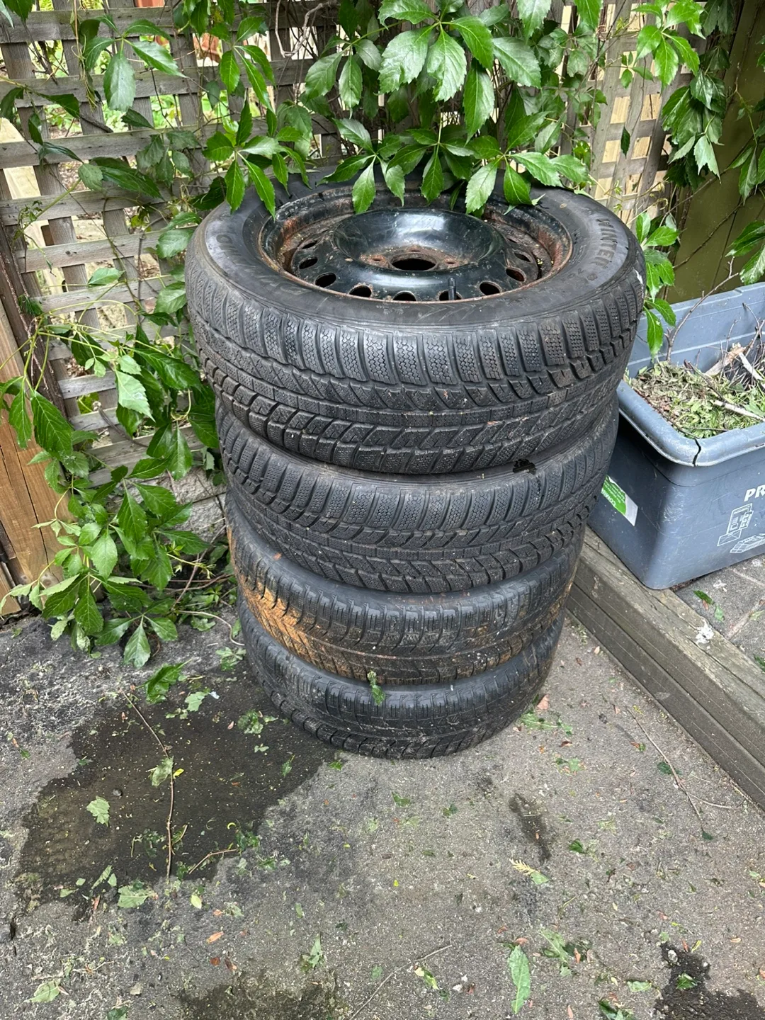 Set of Four Tires with Rims winter tires image indicator(4)