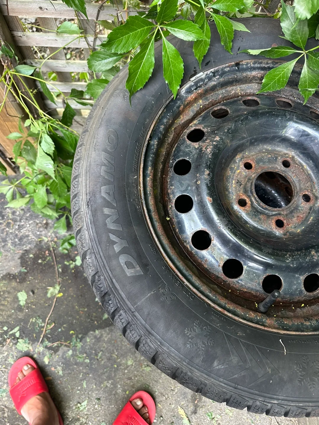 Set of Four Tires with Rims winter tires image indicator(2)