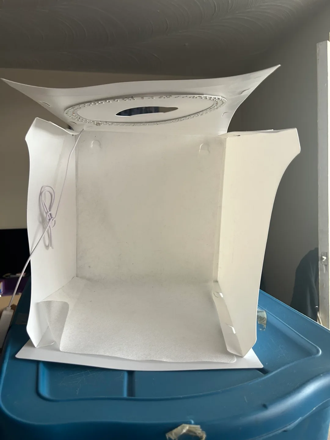 SLOW DOLPHINS Photo Studio Box image indicator(2)