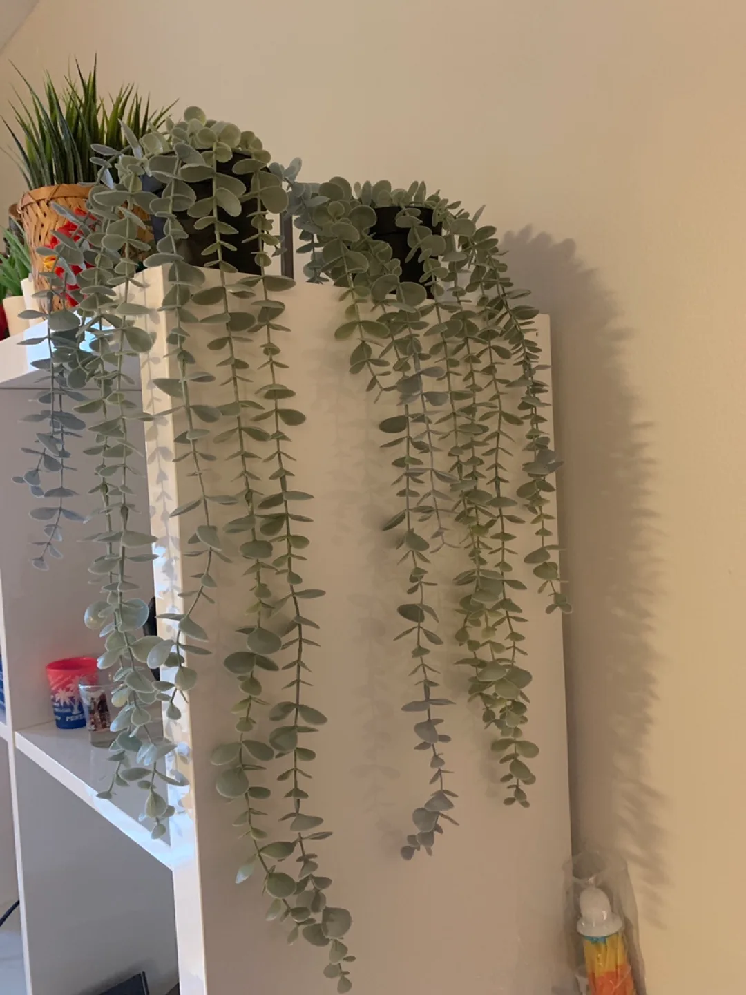 Artificial plants and greenery thumbnail