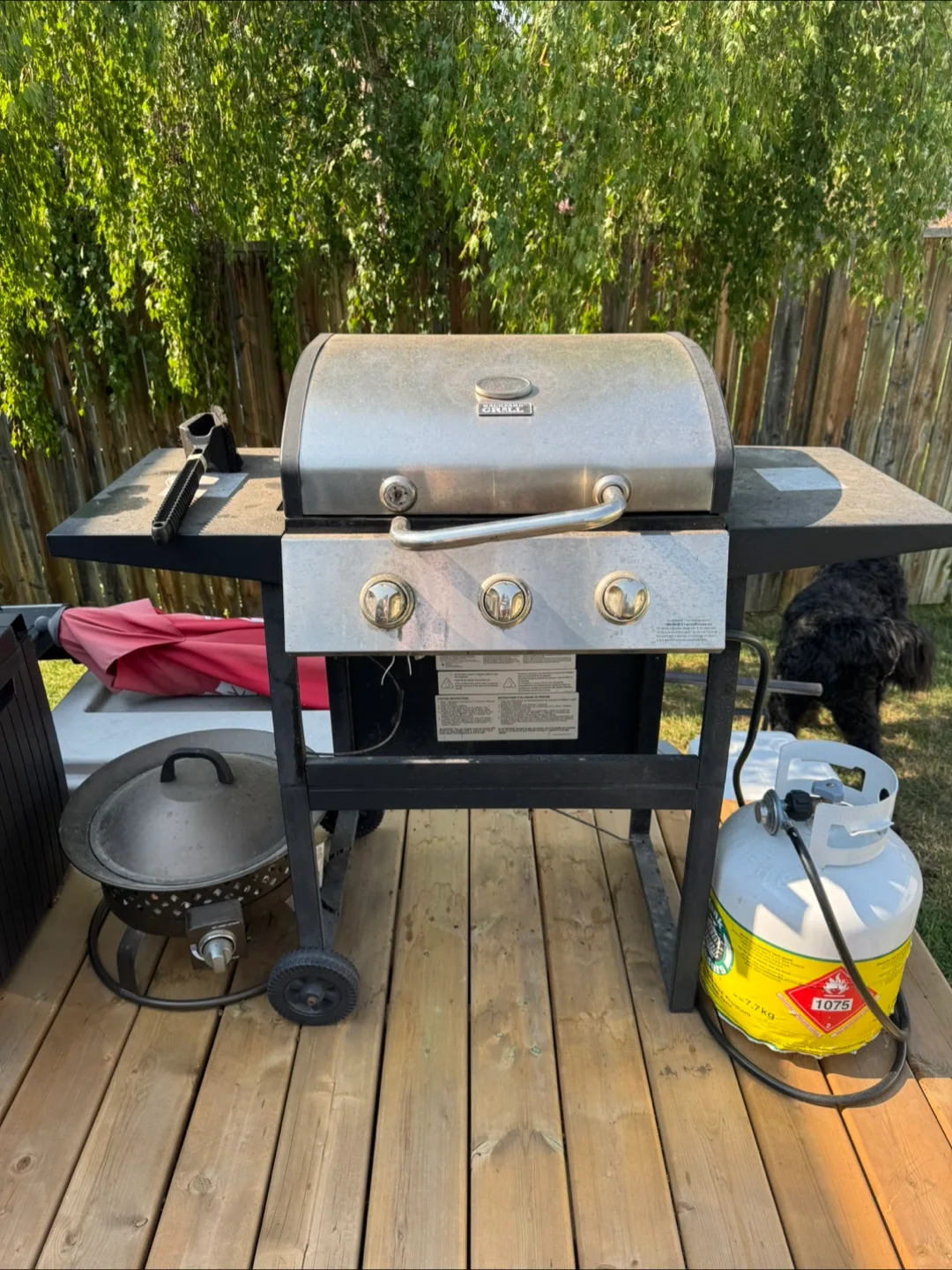 FREE BBQ thumbnail