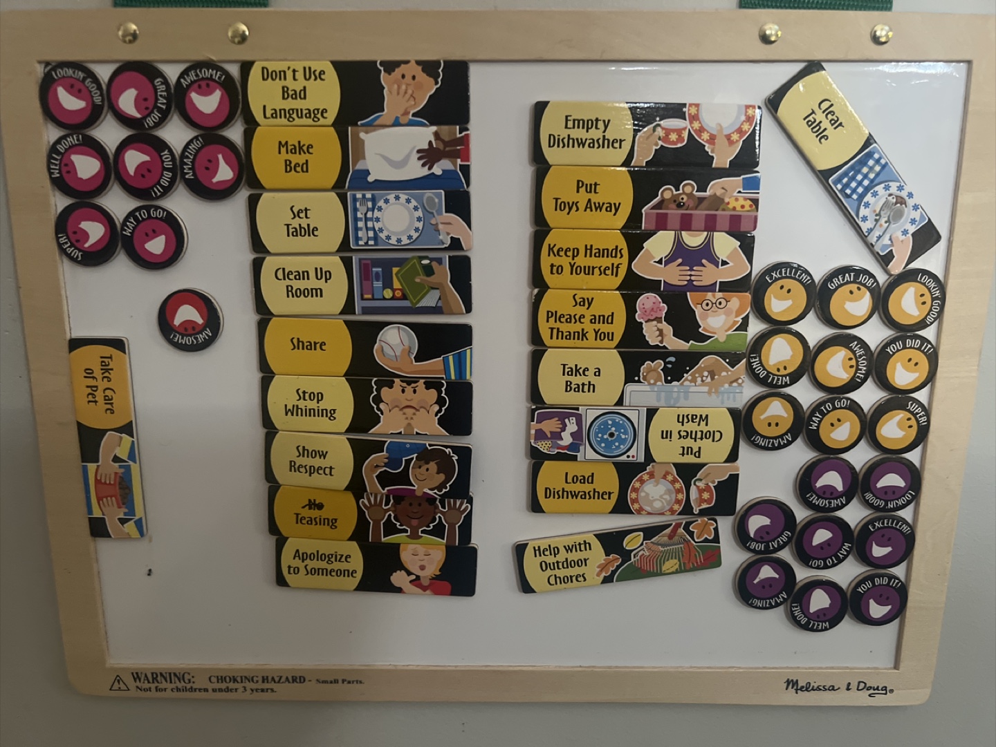 Magnetic Responsibility Chart - photo 3