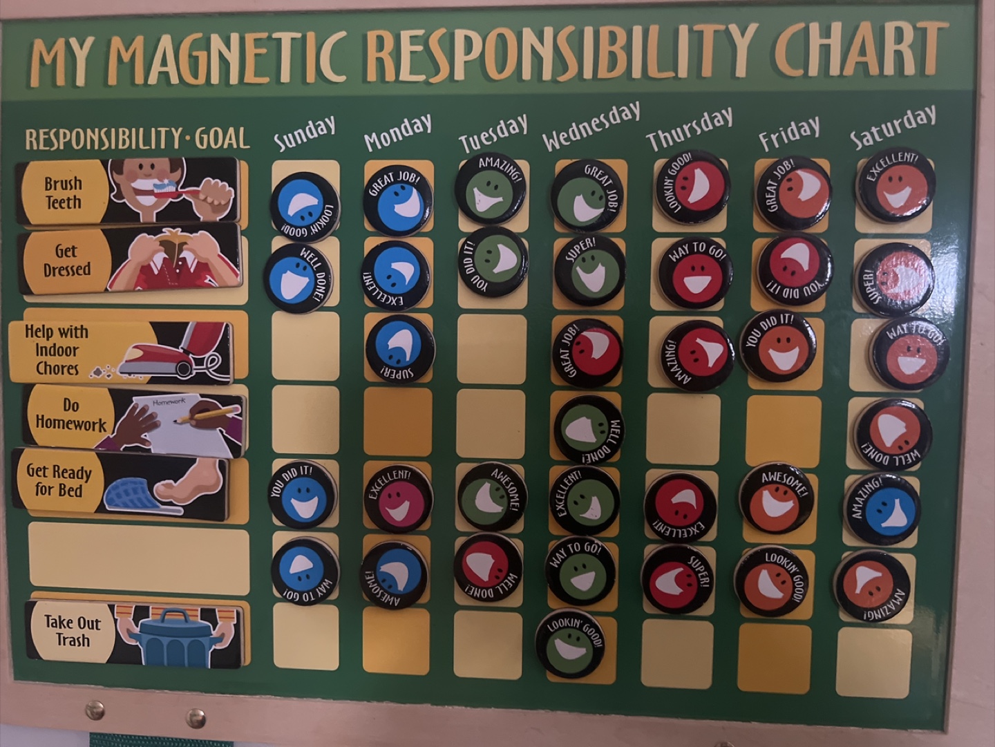 Magnetic Responsibility Chart - photo 2