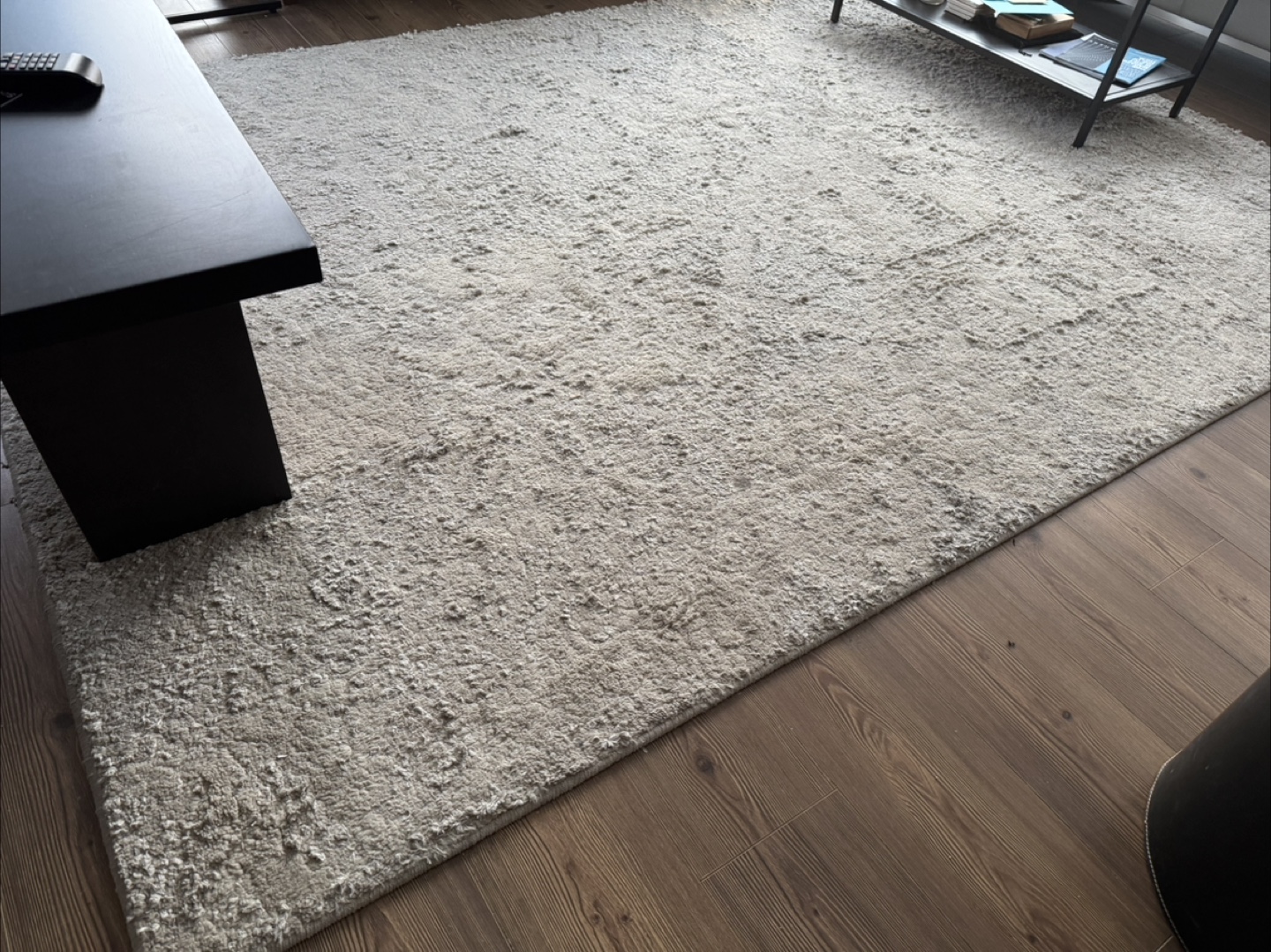 Beige Area Rug