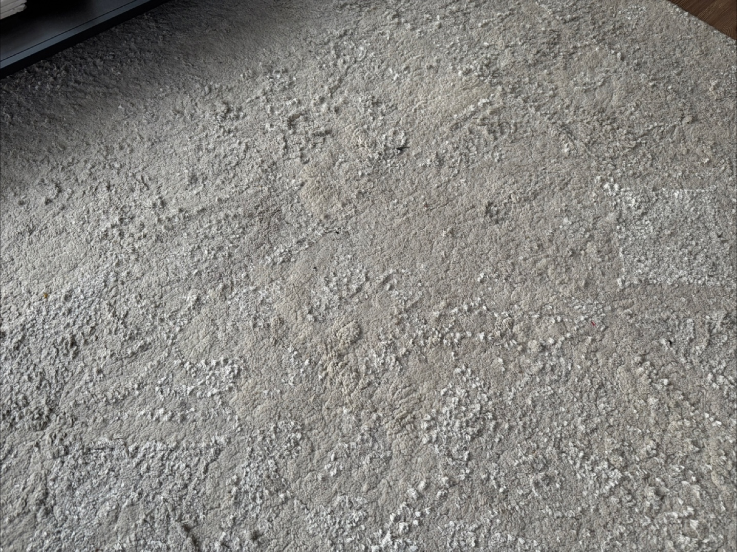 Beige Area Rug - photo 4