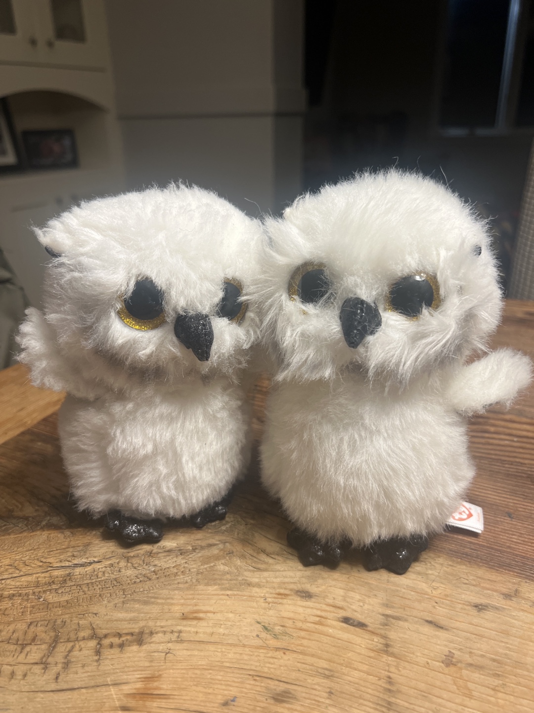 Pair of White Owl Plushies