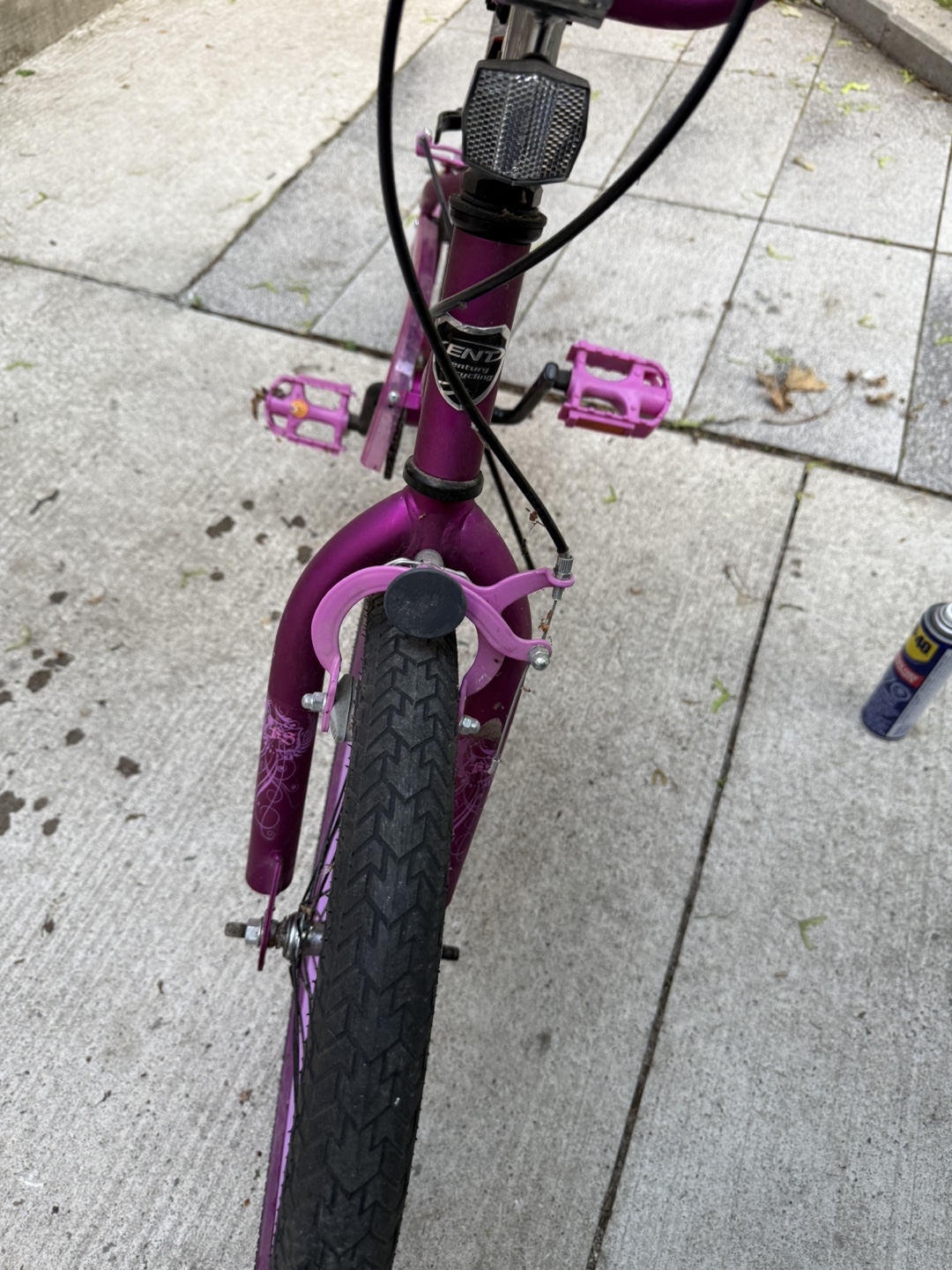 Purple and Pink BMX Bike