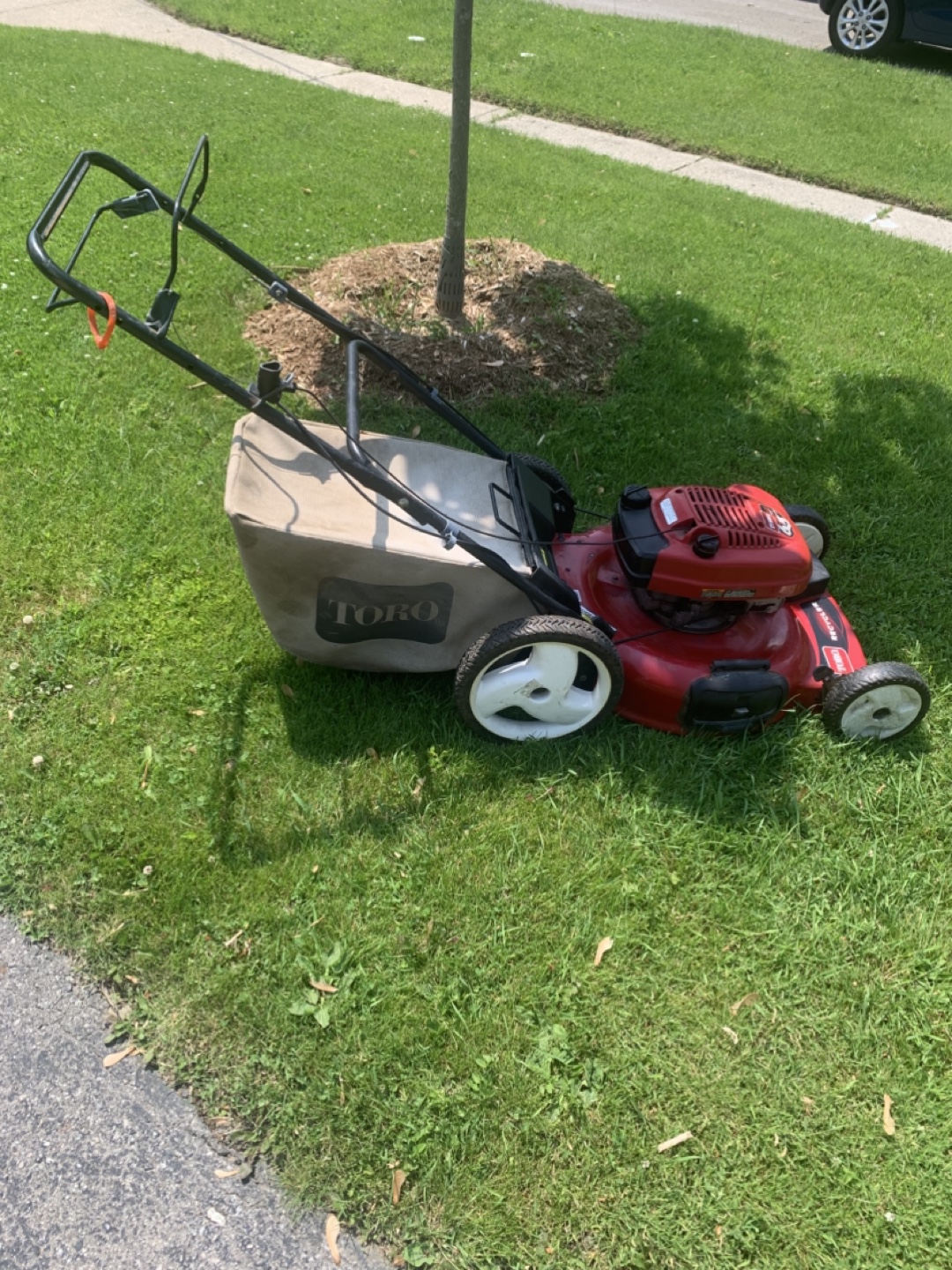 Toro Recycler Lawn Mower - photo 3