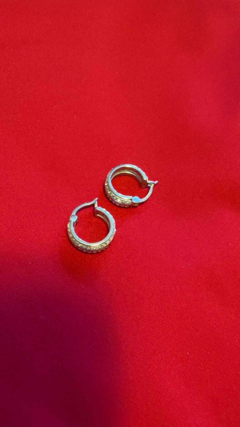 Delicate Silver Hoop Earrings
