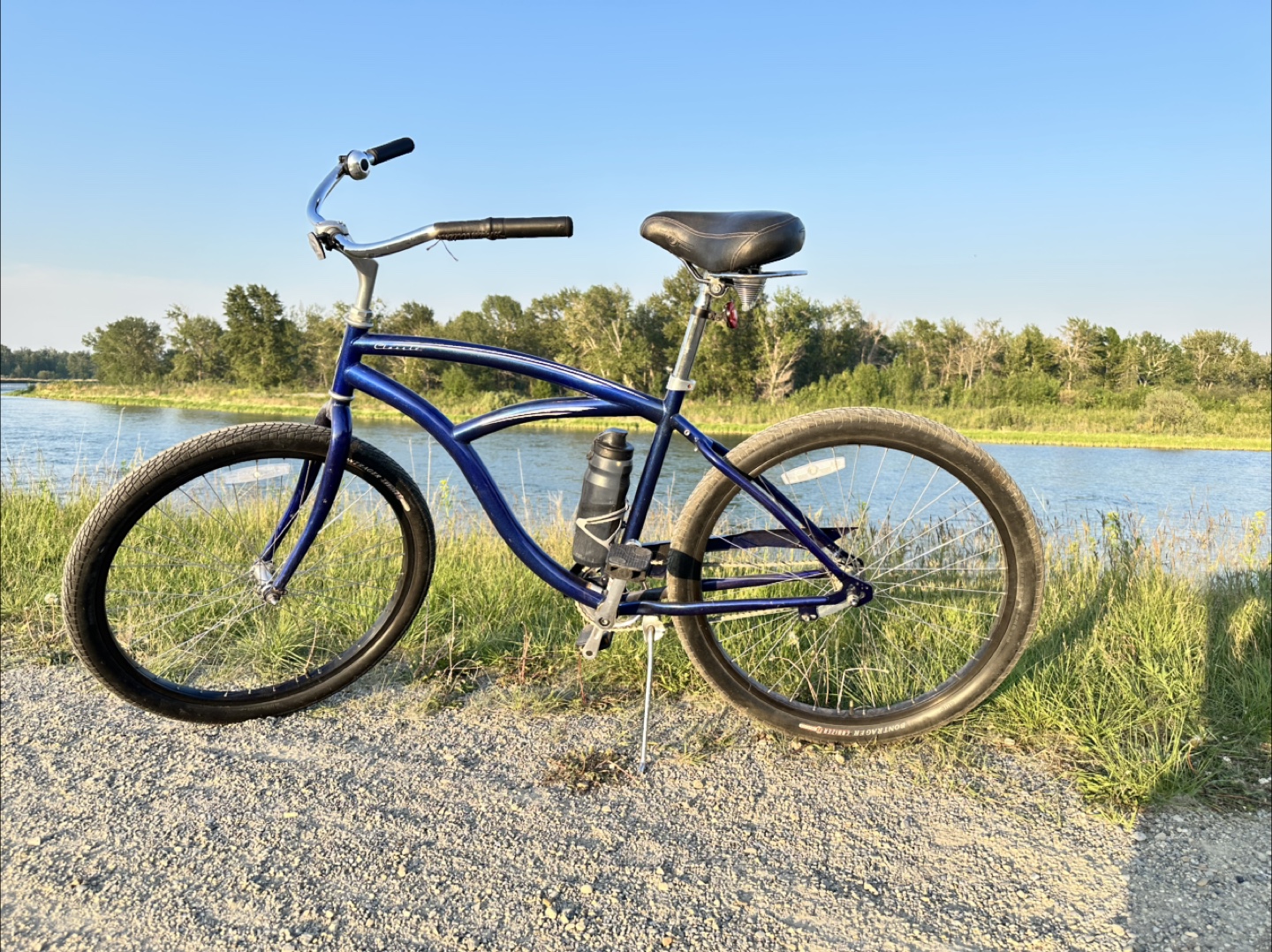 Trek Cruiser Bike