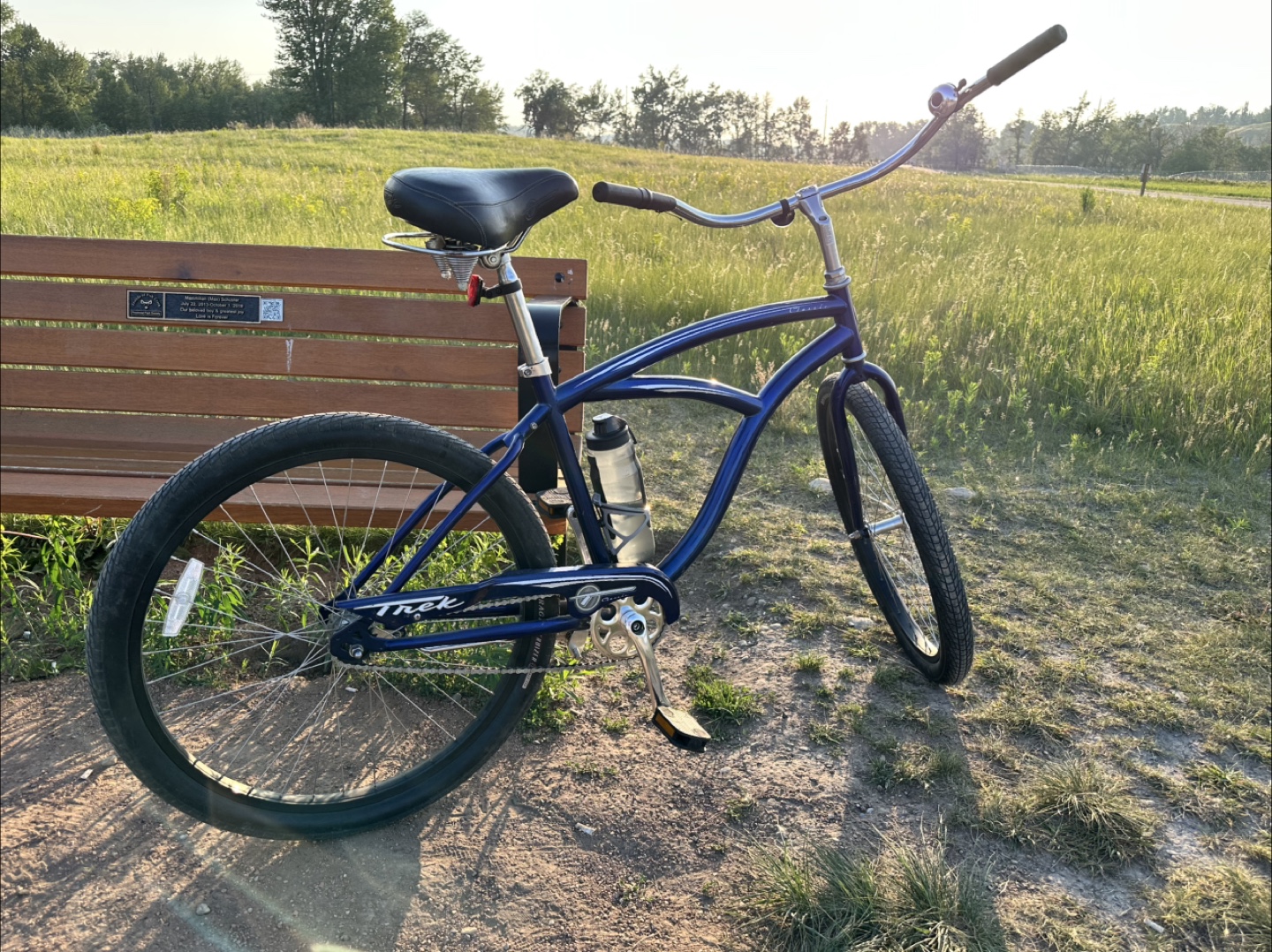 Trek Cruiser Bike - photo 3