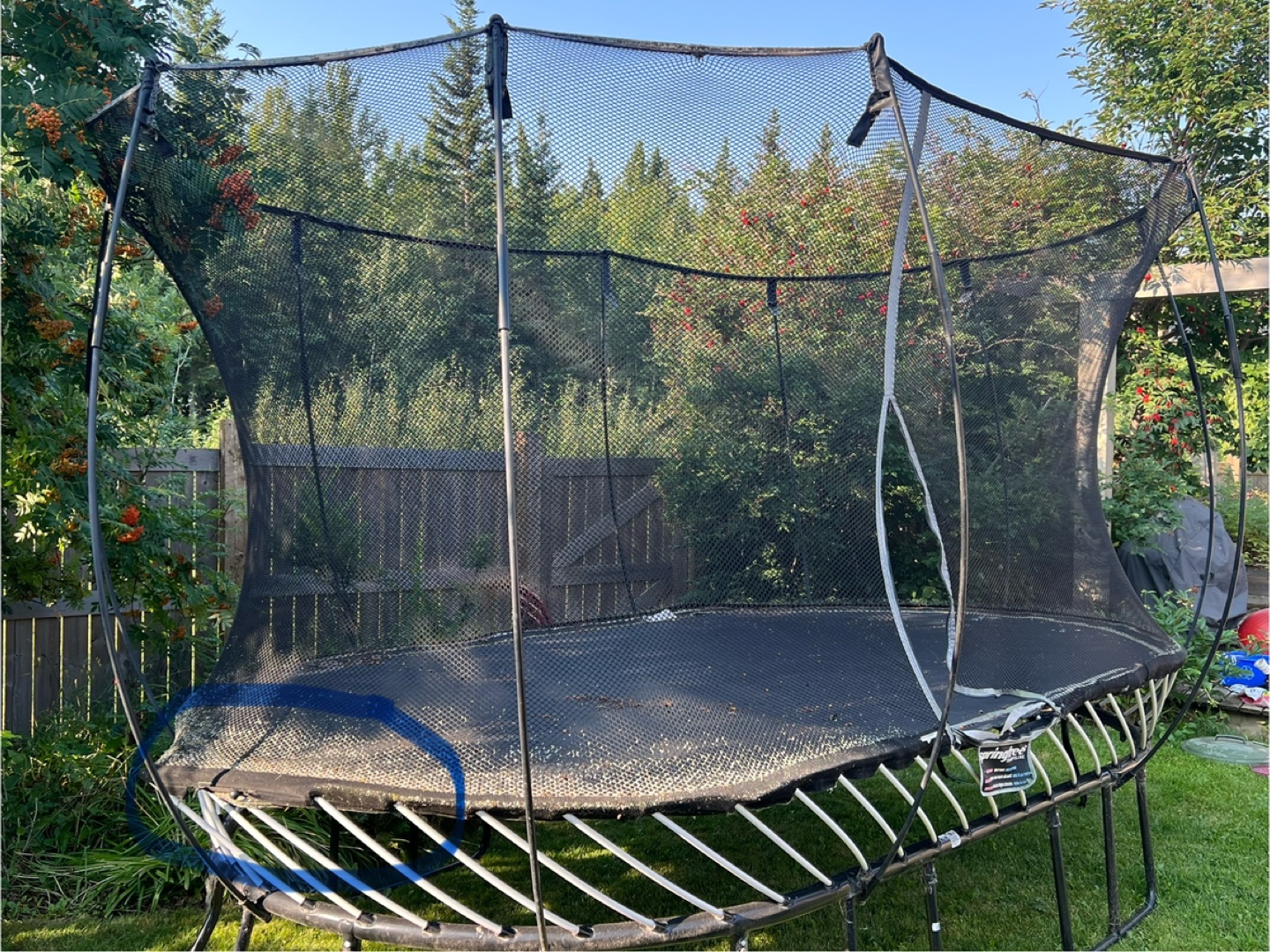 Trampoline for Sale