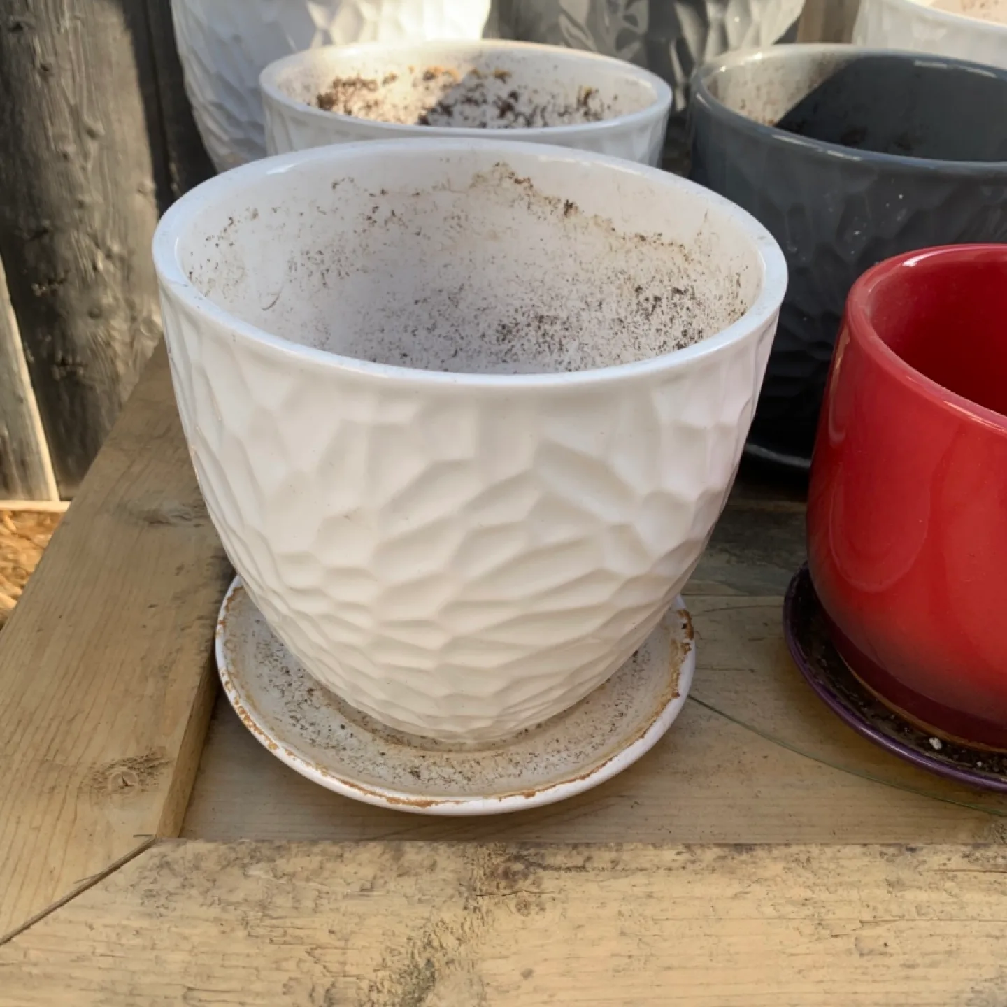 Planters - Several sizes, colours, and textures image indicator(2)