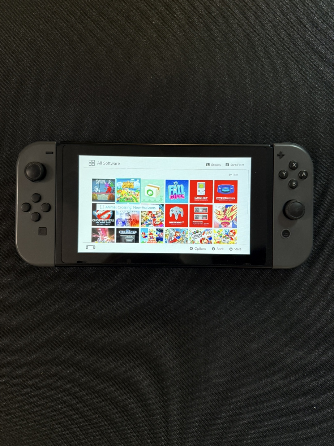 Nintendo Switch Console & Case