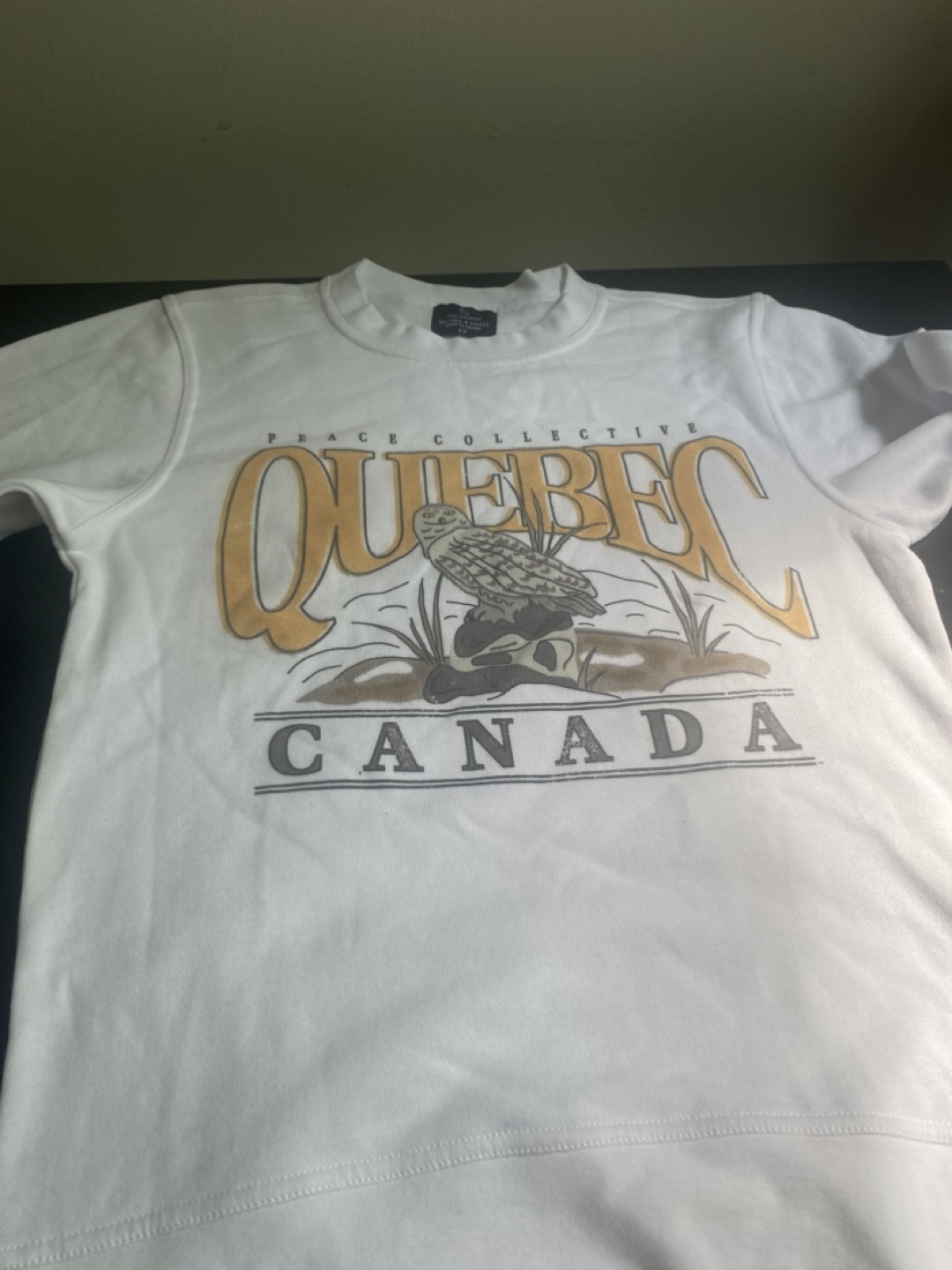 Sweat shirt - photo 2