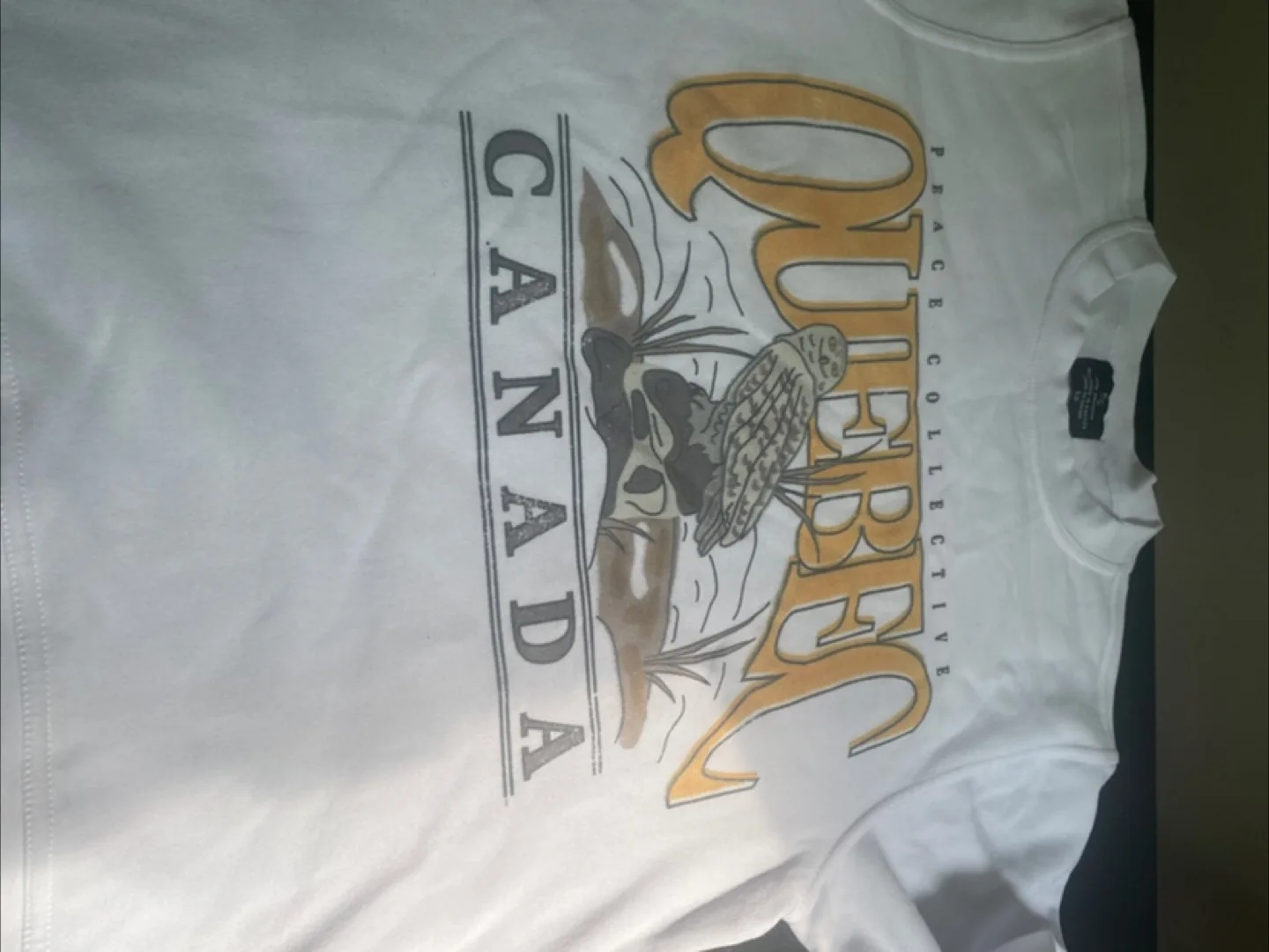 Sweat shirt thumbnail