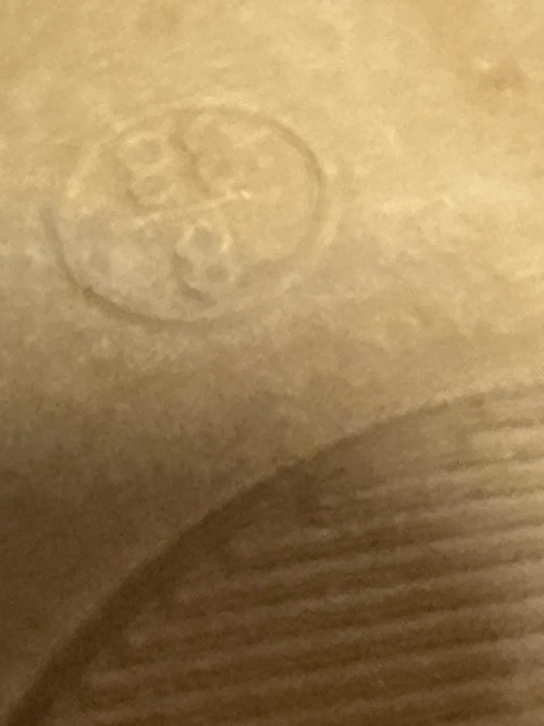 Bamboo Blue Heels 38-8 image indicator(4)