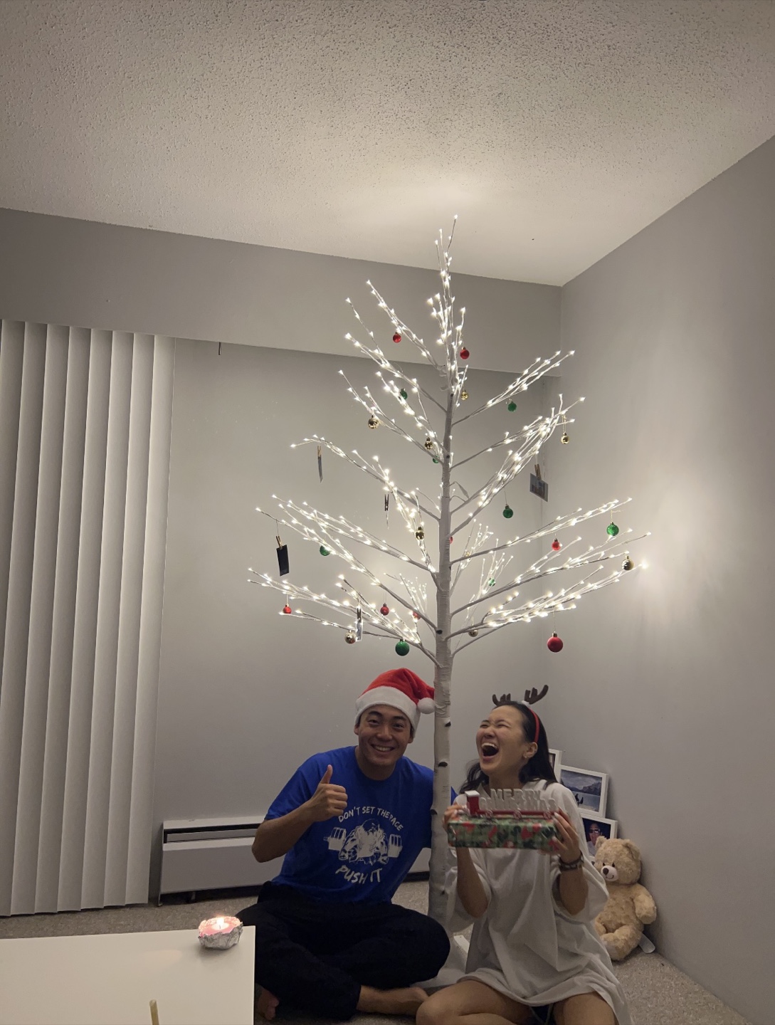 2.2m Birch Tree with 75 LED Lights