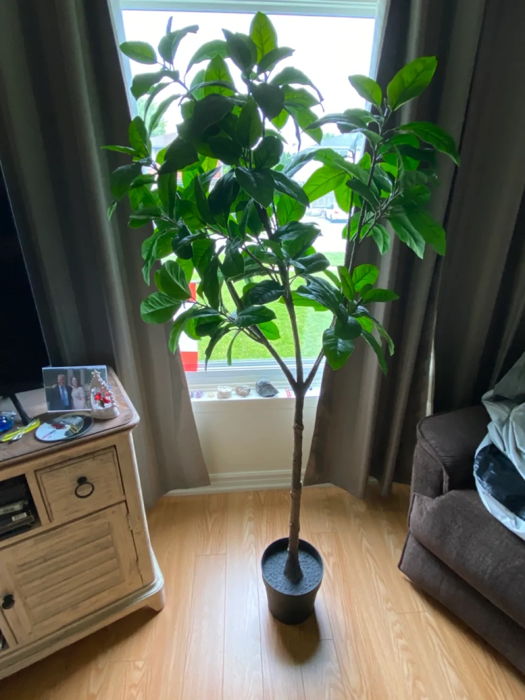 Artificial Tree image indicator(2)