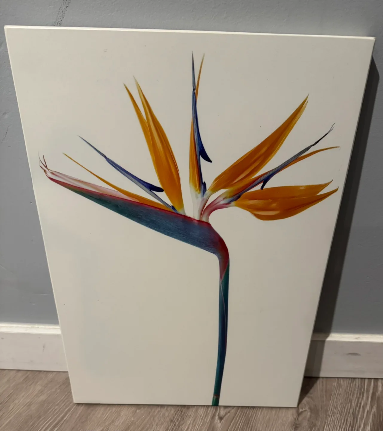 Flower Canvas Print thumbnail