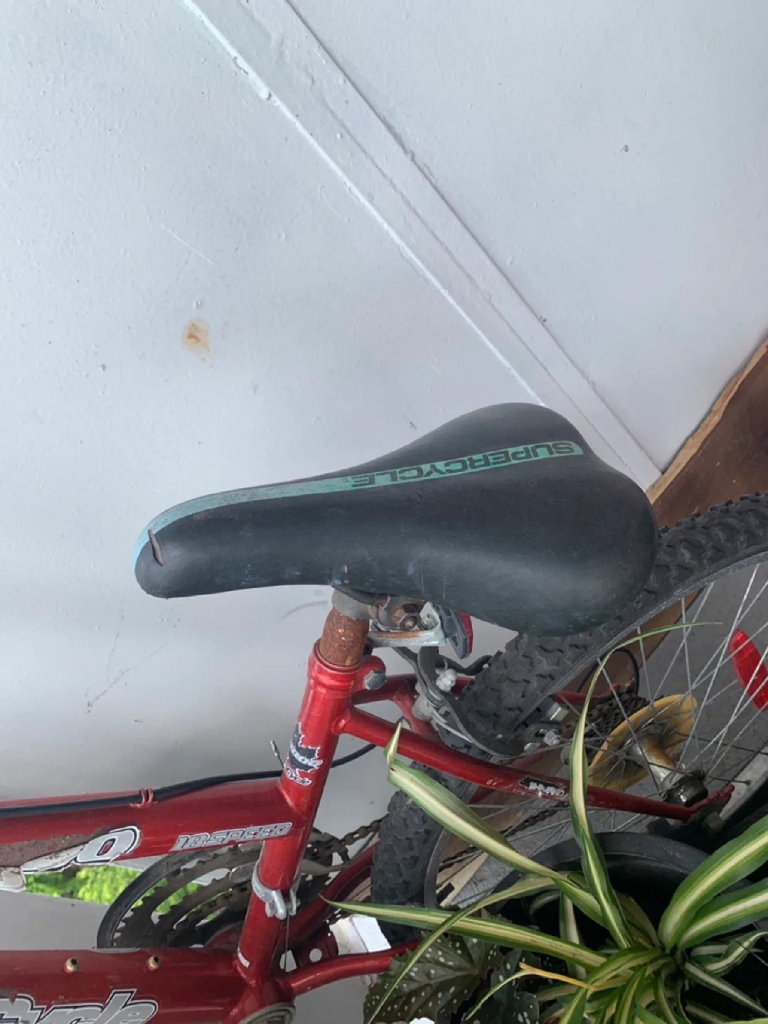 Red Bike (Swipe for clearer photos) image indicator(3)