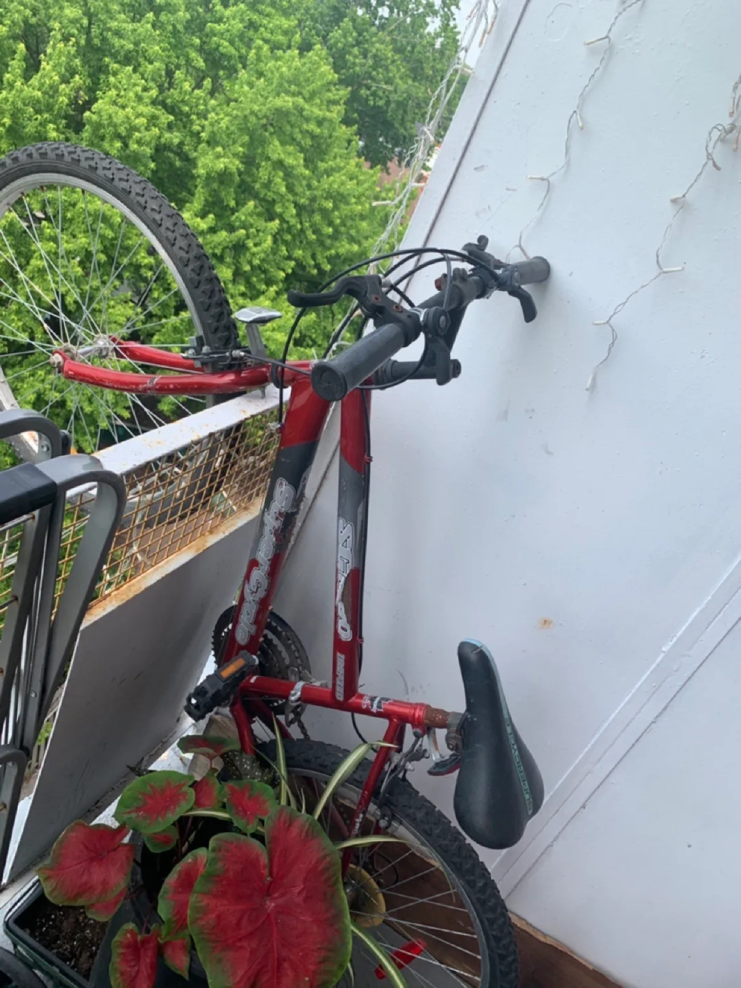 Red Bike (Swipe for clearer photos) image indicator(2)