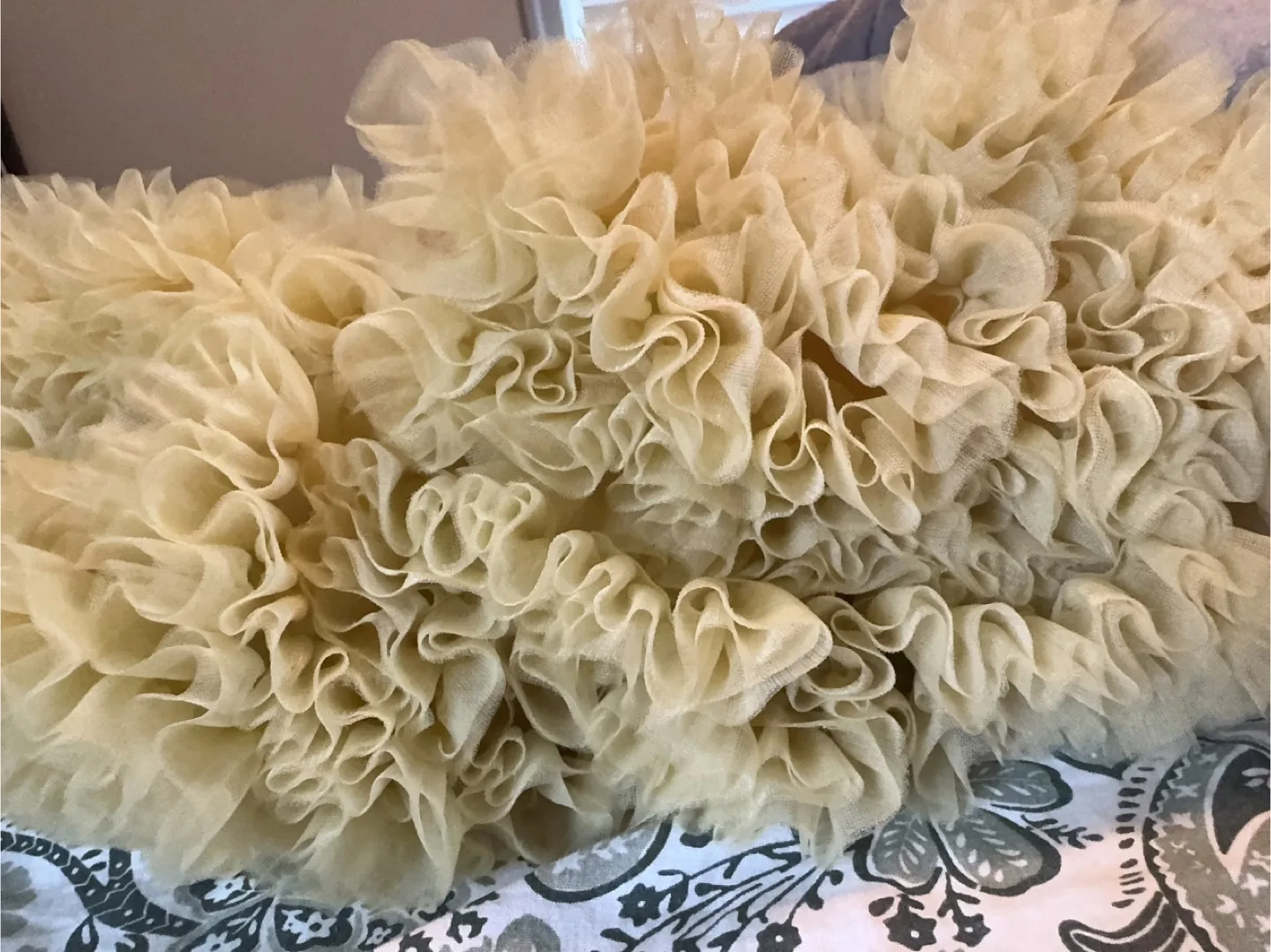 TUTU Skirt size 3-4T image indicator(5)