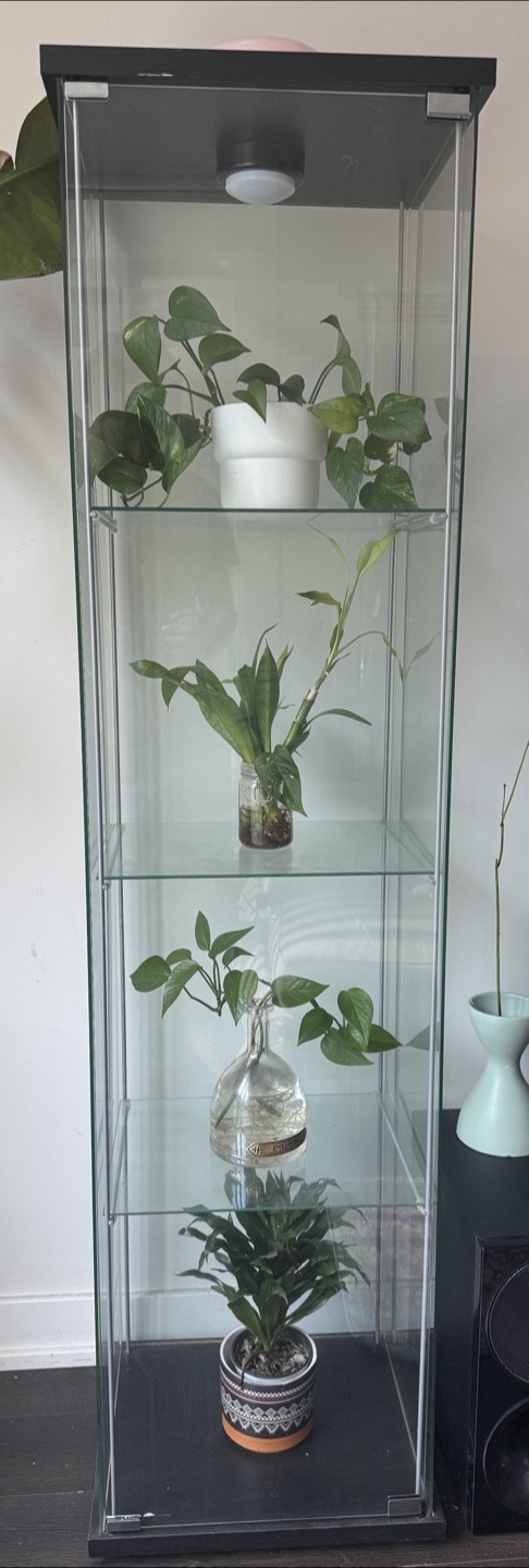 Ikea Display Cabinet - photo 3