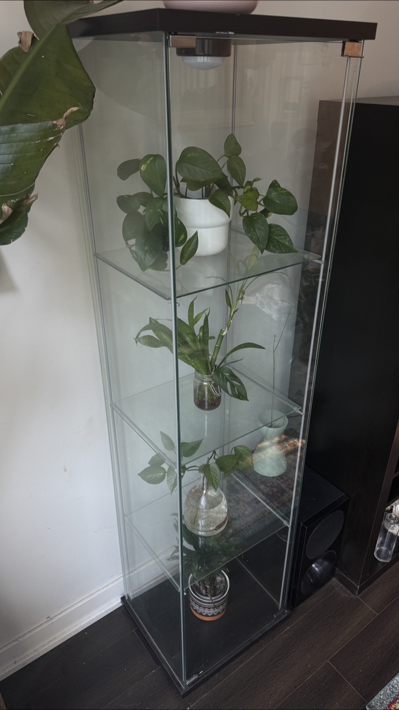 Ikea Display Cabinet - photo 2