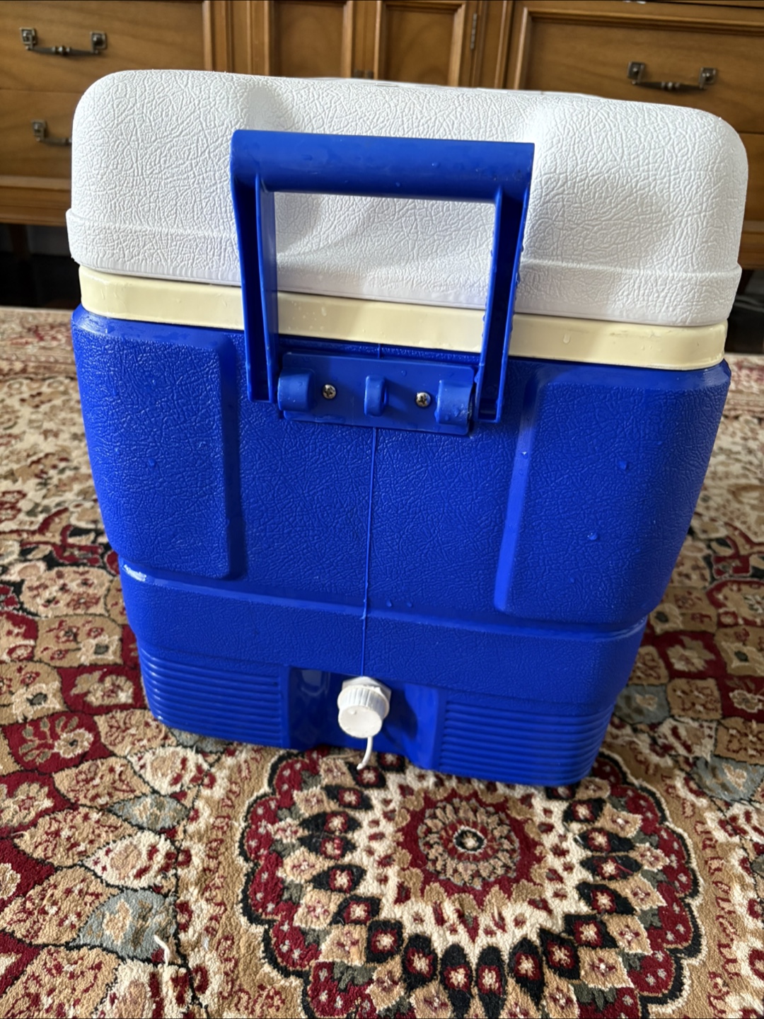 Igloo Ultra Cold 50 Cooler - photo 3