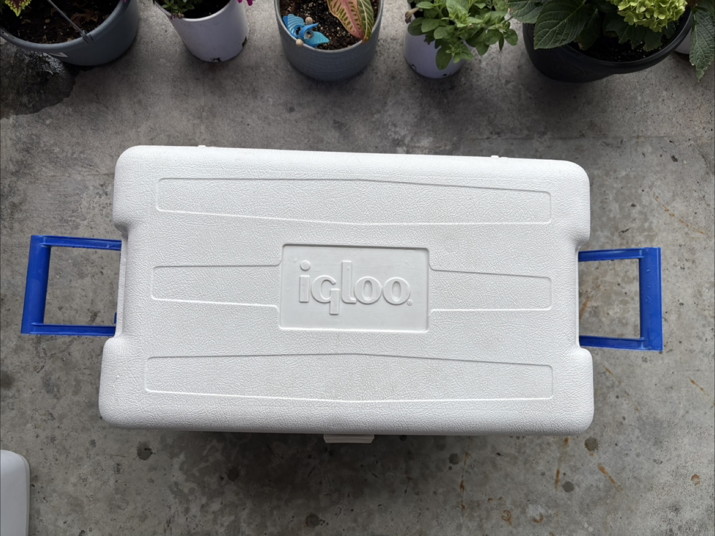Igloo Ultra Cold 50 Cooler - photo 4