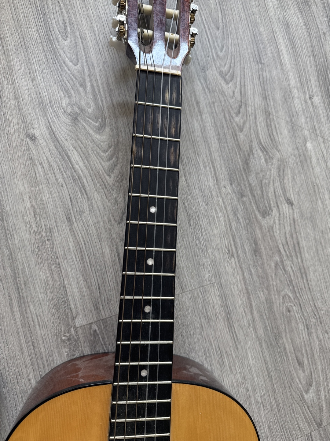 Torino Acoustic Guitar - photo 3