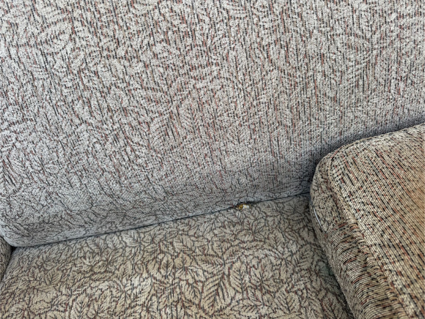 Patterned Sofa - photo 3