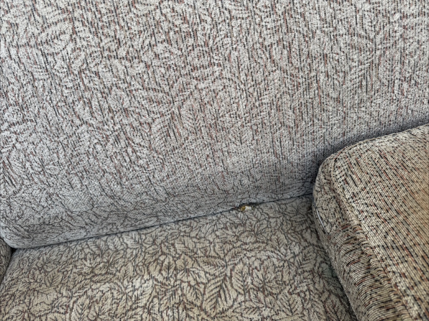 Vintage 2-Seater Couch - photo 3