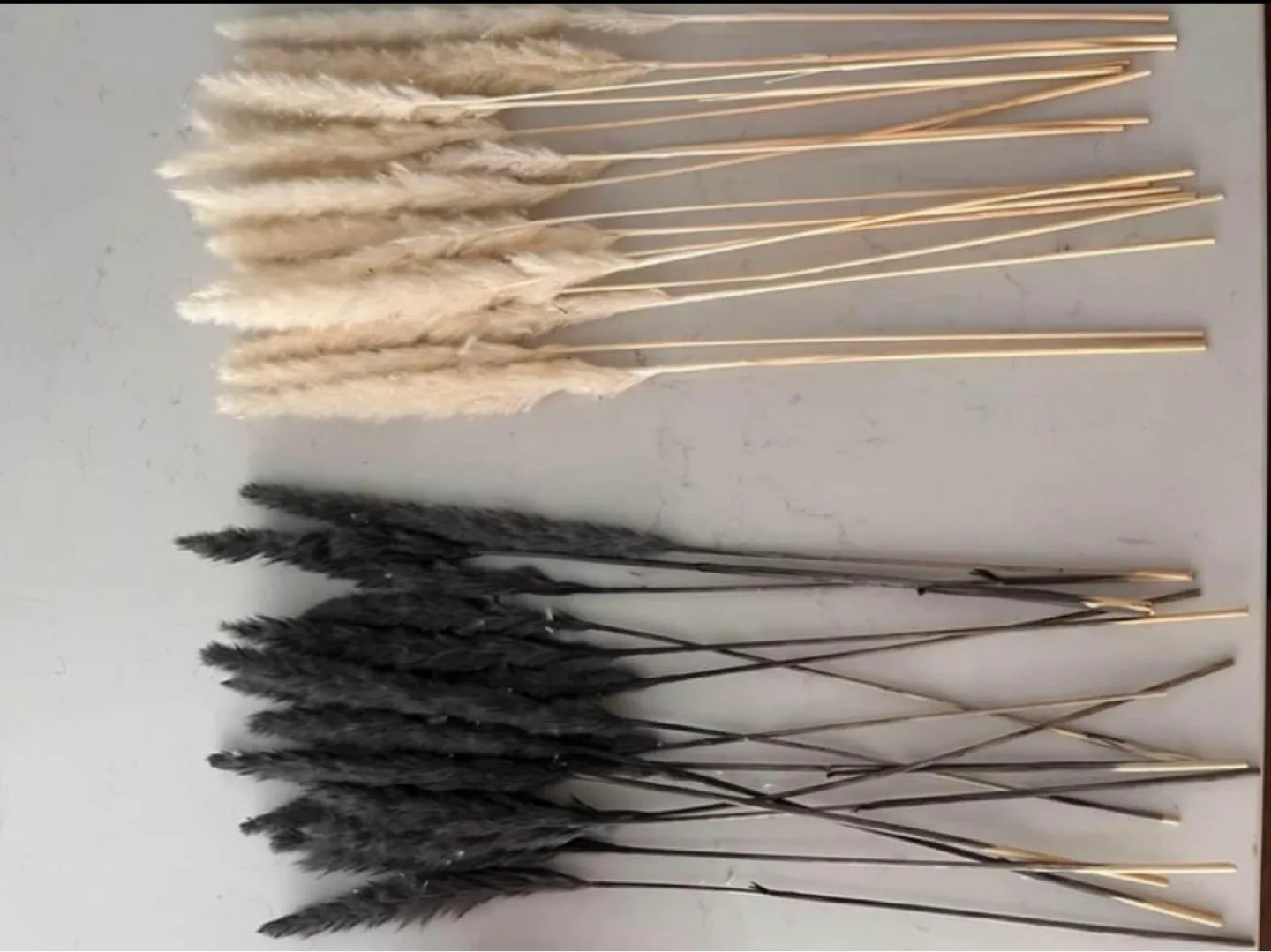 Pampas Grass Stems feather set NEW thumbnail