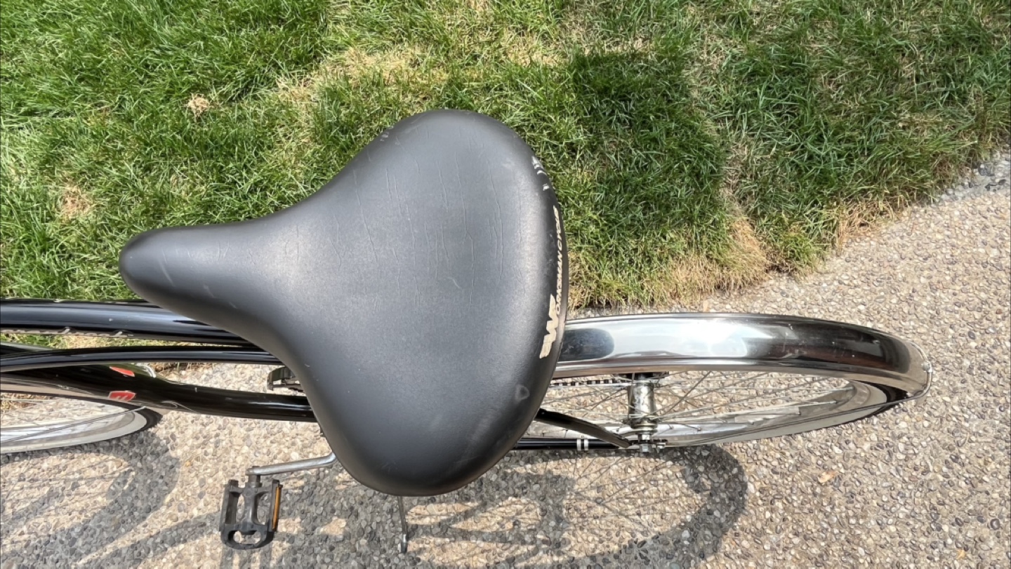 Beach Cruiser Bicycle