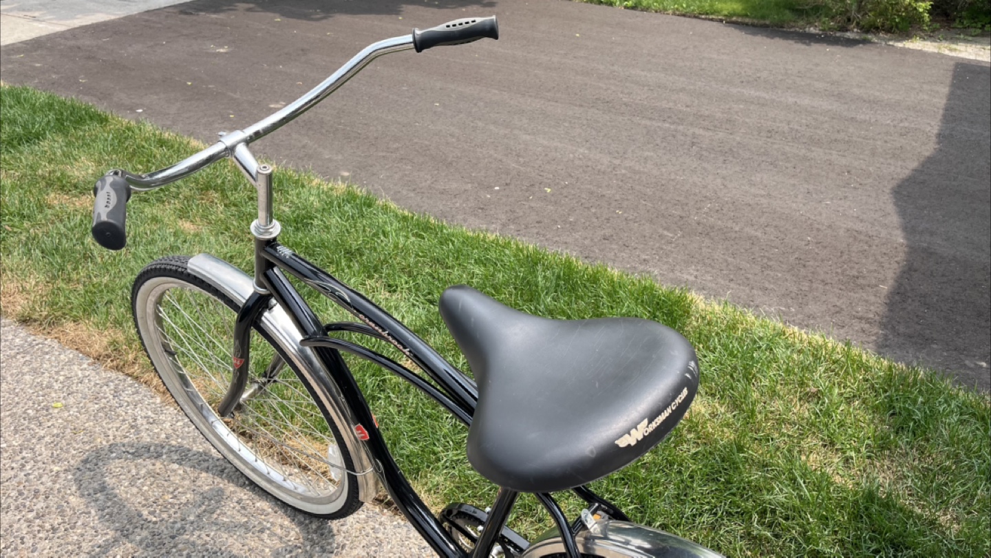 Beach Cruiser Bicycle - photo 3