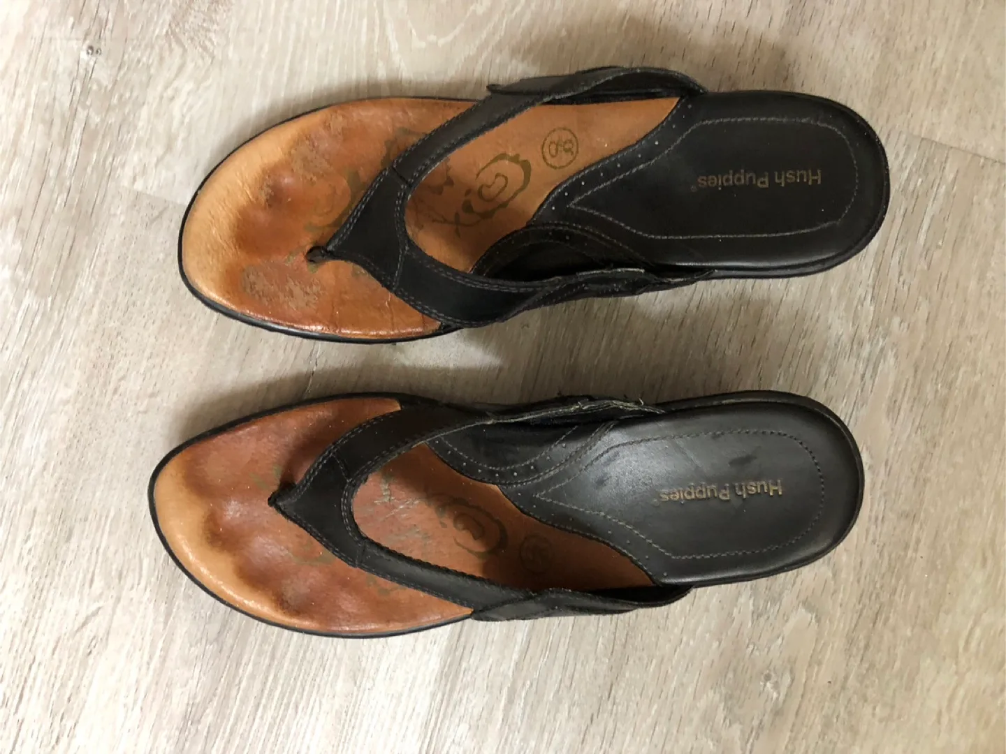 Hush Puppies image indicator(2)