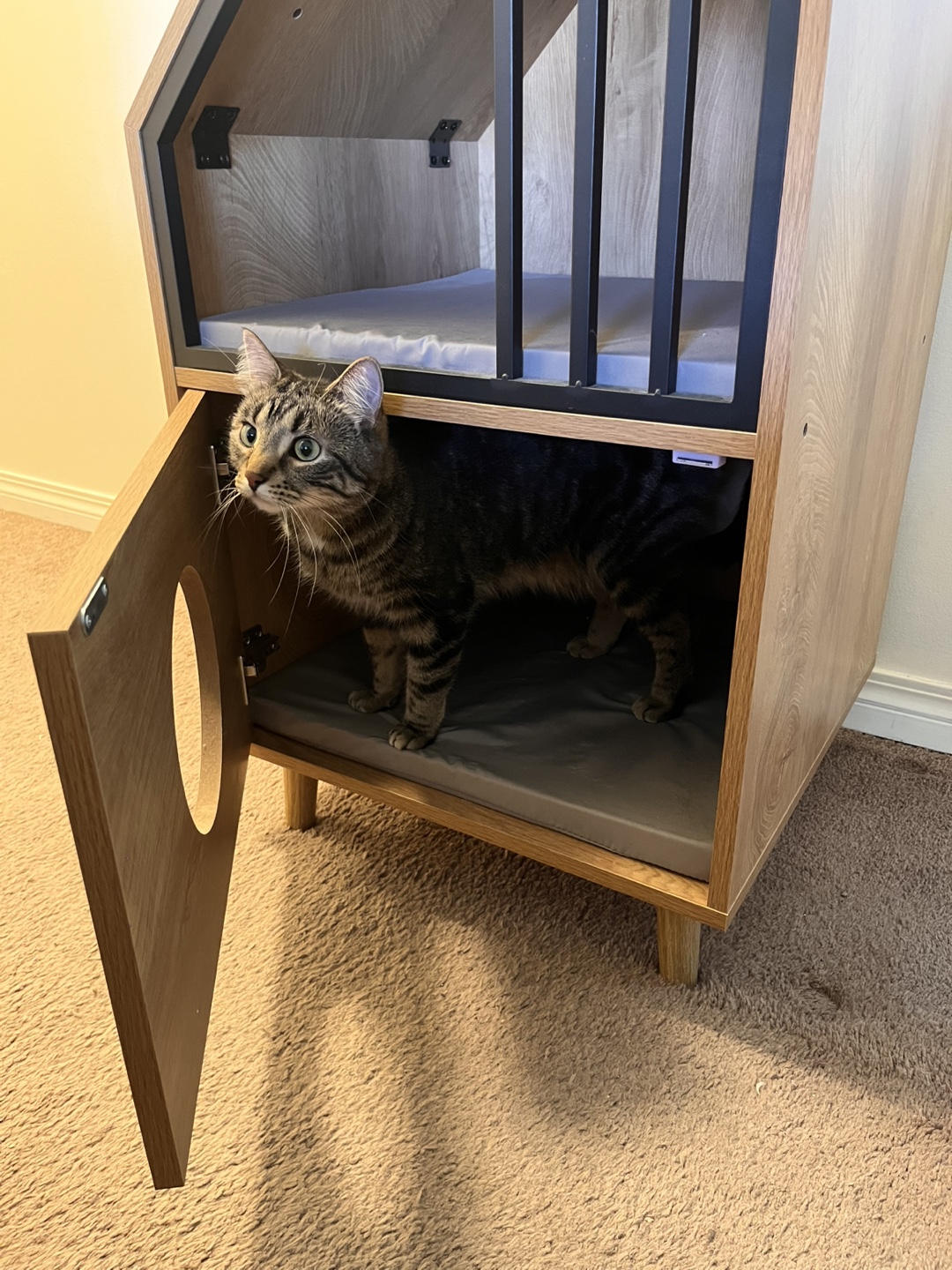 Wooden Cat House - photo 4