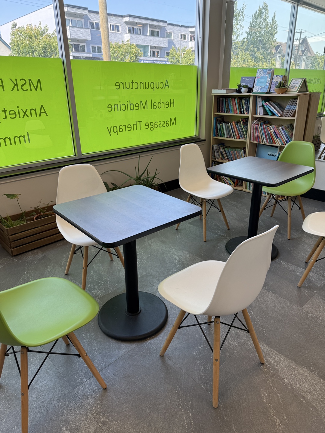 Cafe Chairs white and green color
